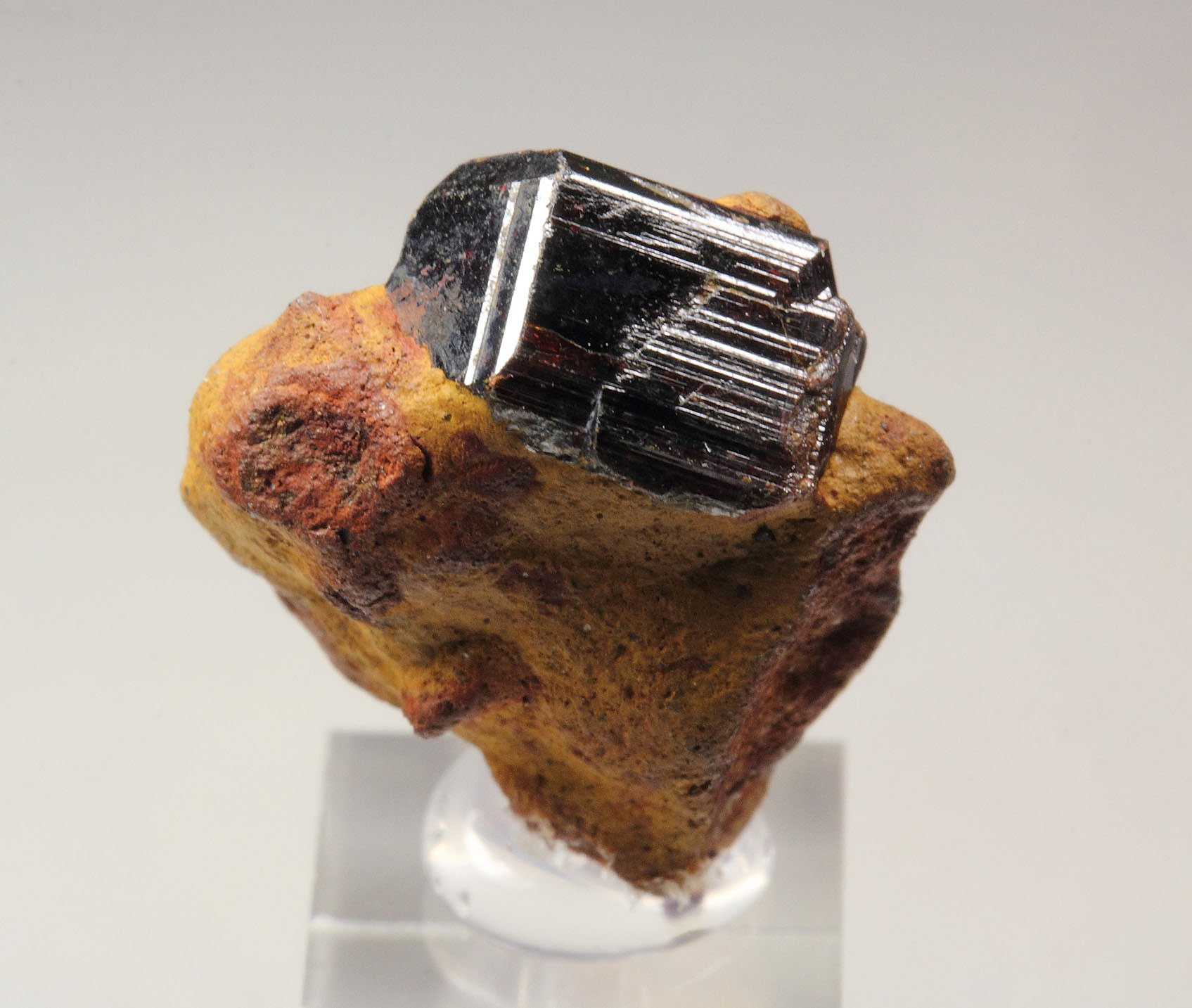 RUTILE cyclic twinning, LIMONITE