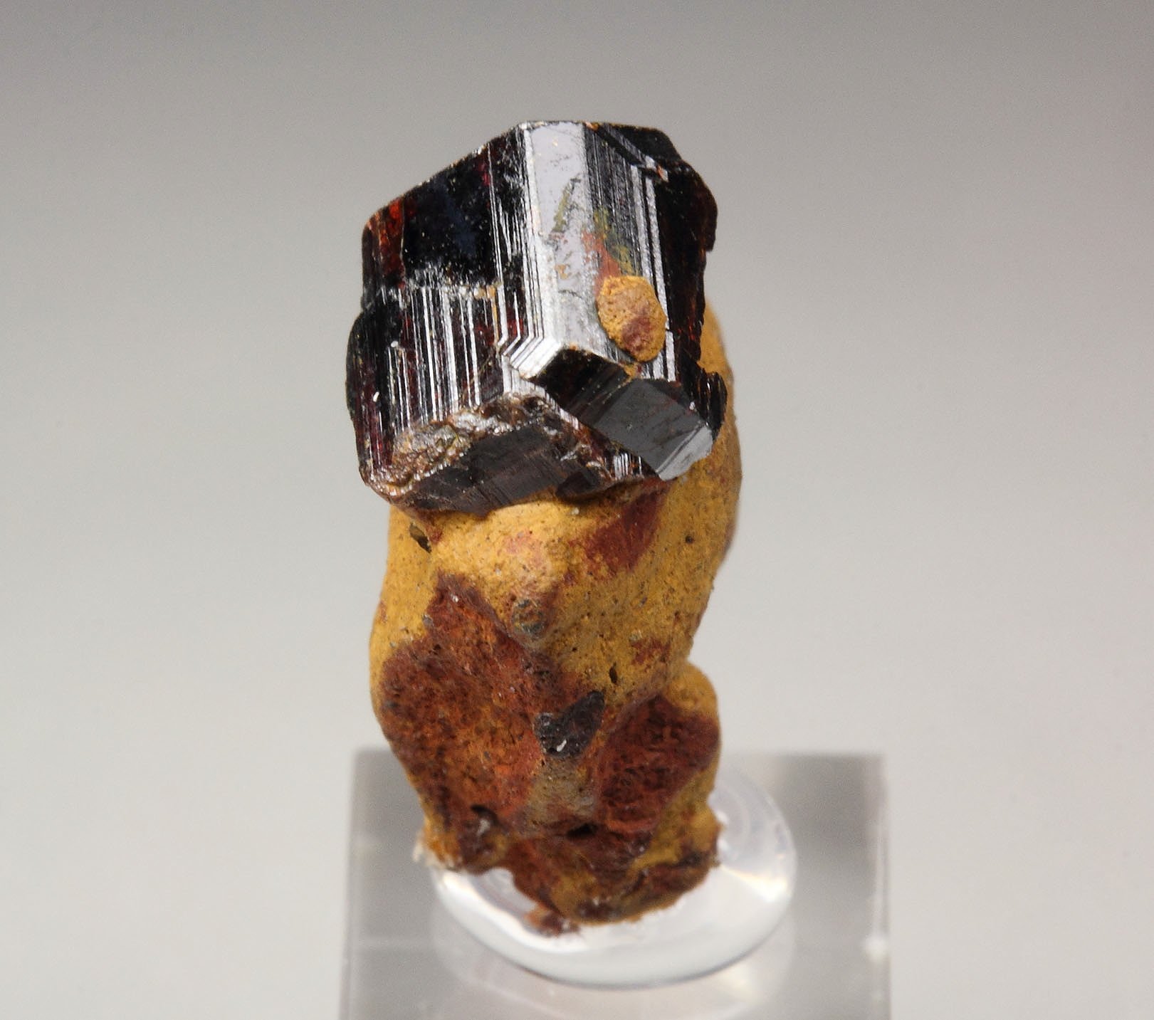 RUTILE cyclic twinning, LIMONITE