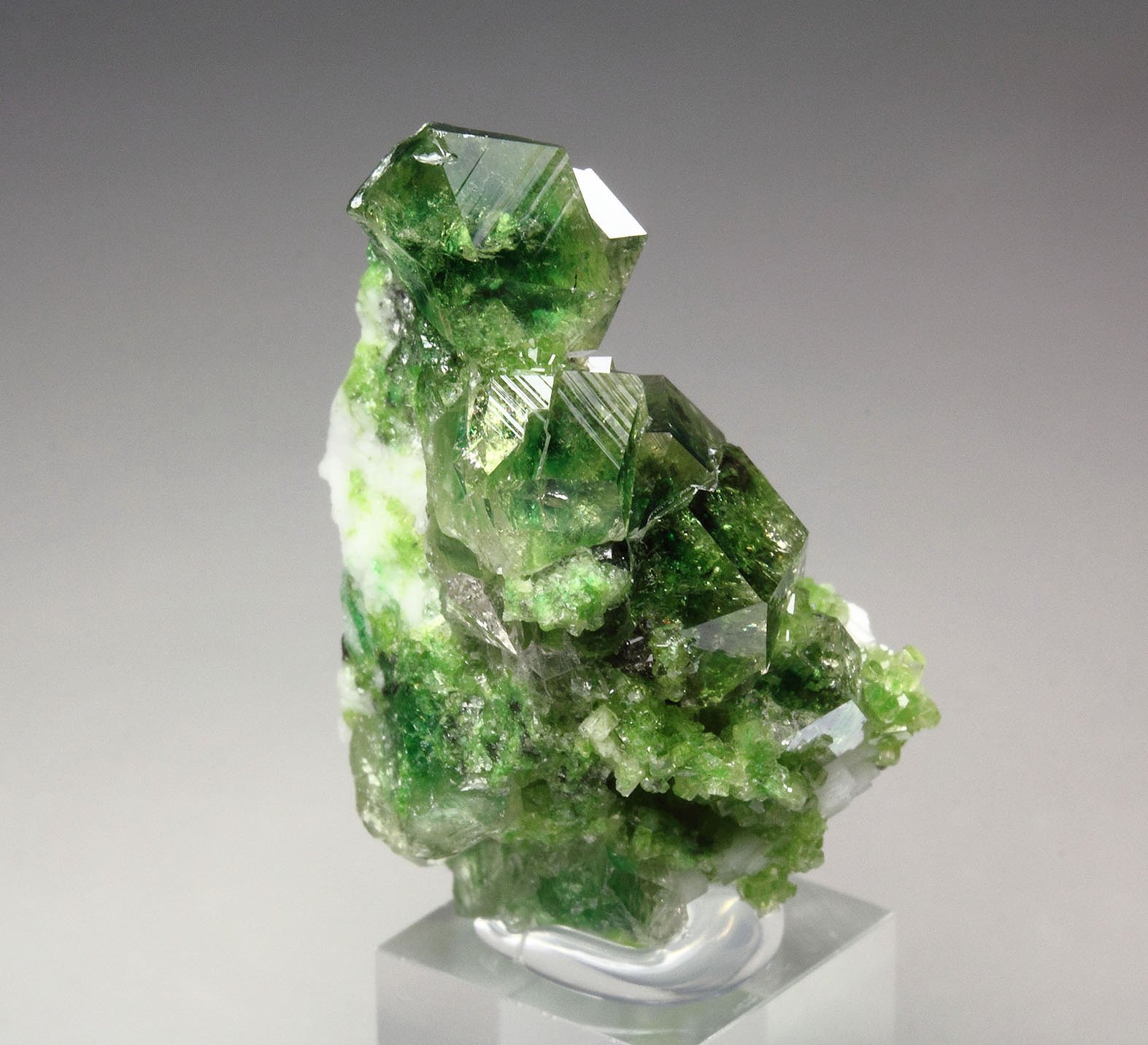 gem GARNET var. GROSSULAR with GREEN CHROMIAN PHANTOMS, DIOPSIDE