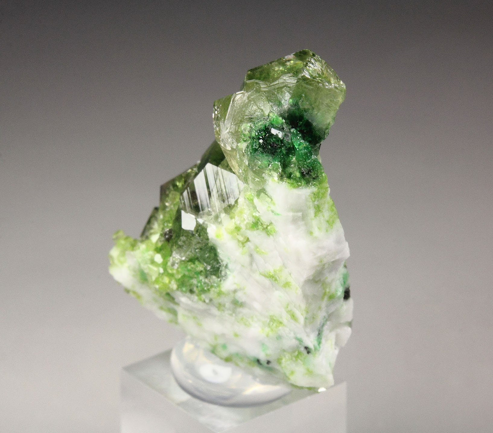 gem GARNET var. GROSSULAR with GREEN CHROMIAN PHANTOMS, DIOPSIDE