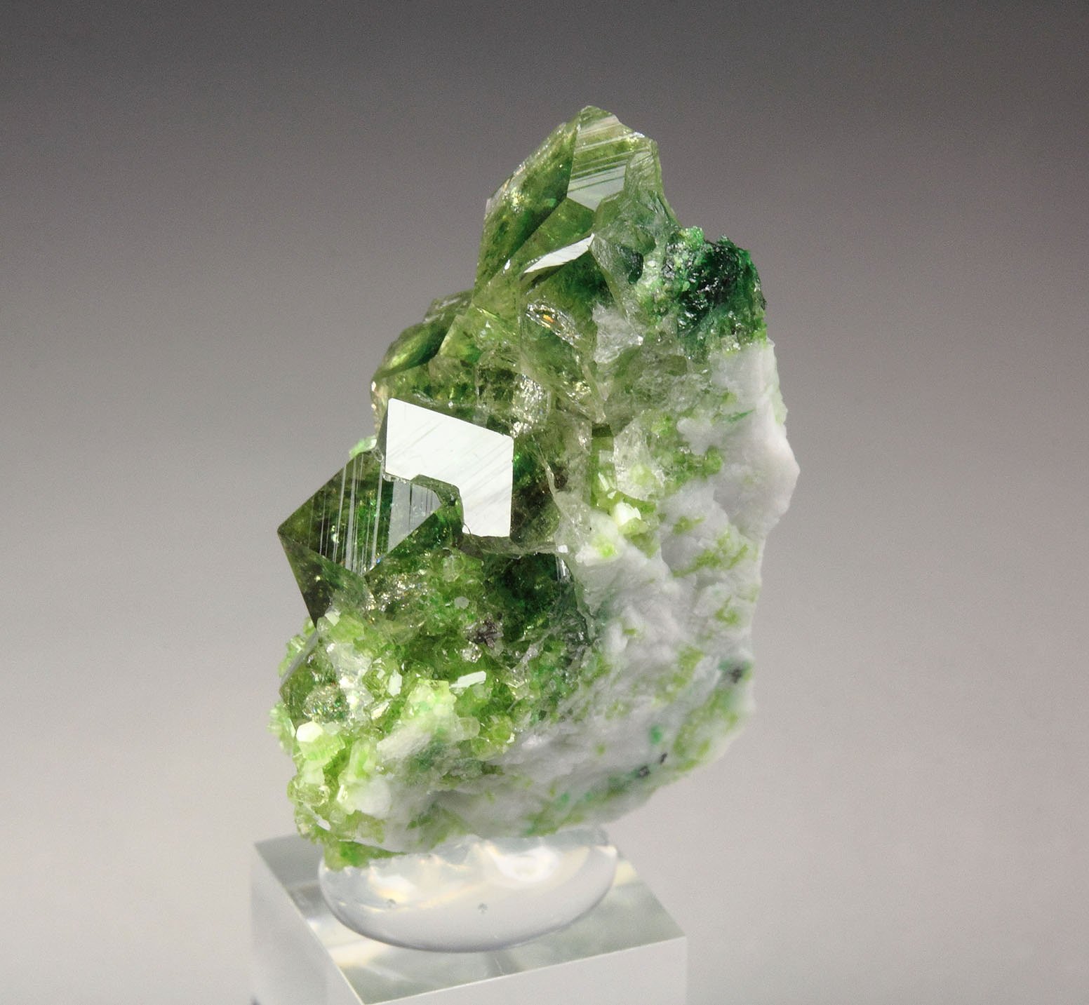 gem GARNET var. GROSSULAR with GREEN CHROMIAN PHANTOMS, DIOPSIDE