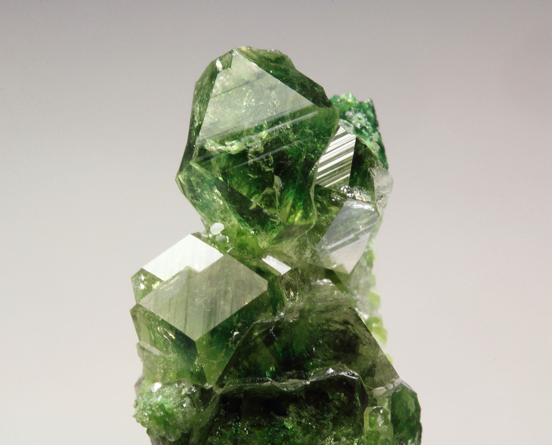 gem GARNET var. GROSSULAR with GREEN CHROMIAN PHANTOMS, DIOPSIDE