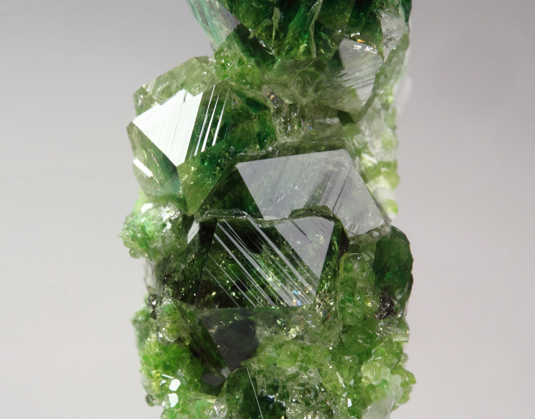 gem GARNET var. GROSSULAR with GREEN CHROMIAN PHANTOMS, DIOPSIDE