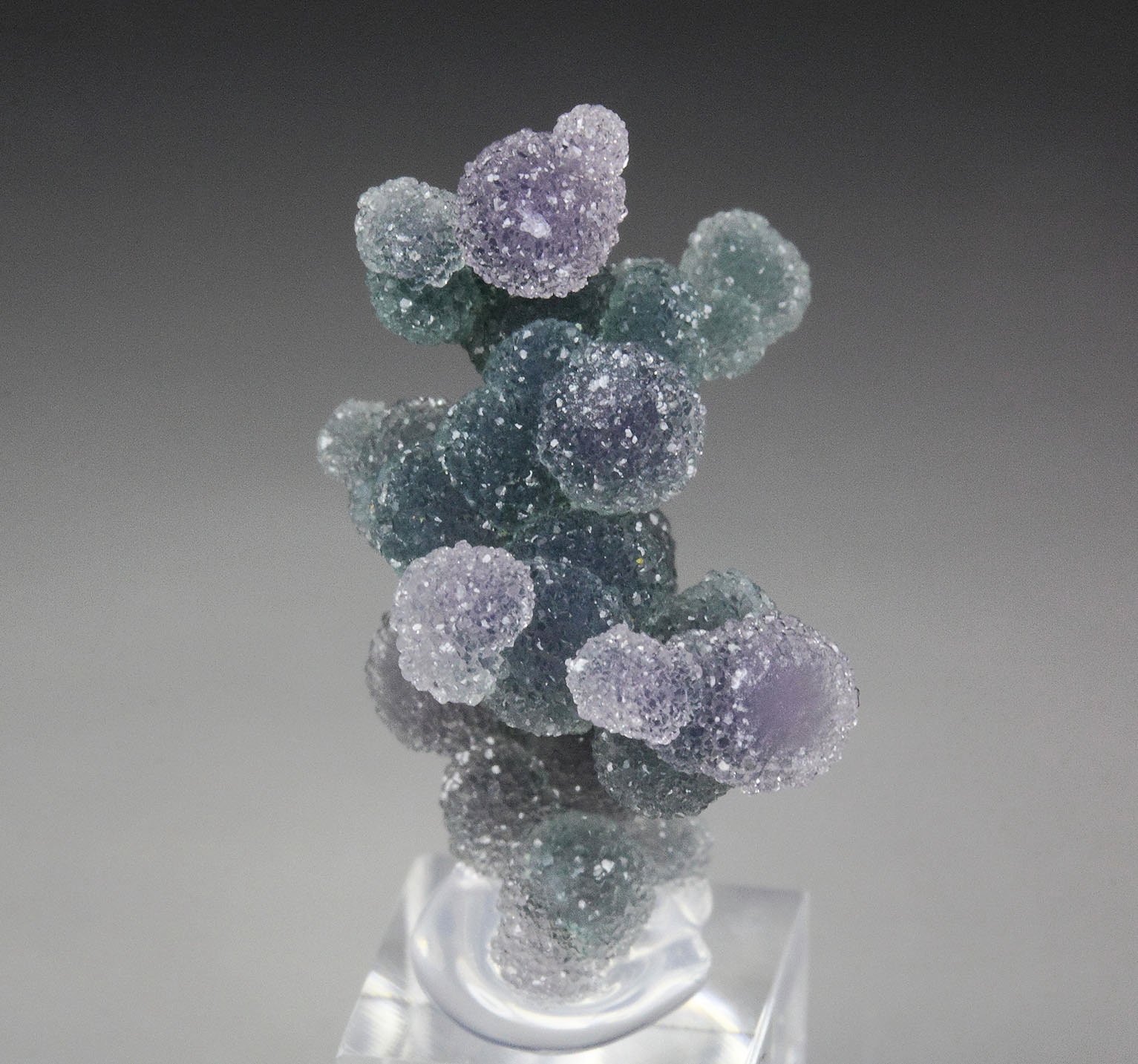 QUARTZ var. AMETHYST - grape agate