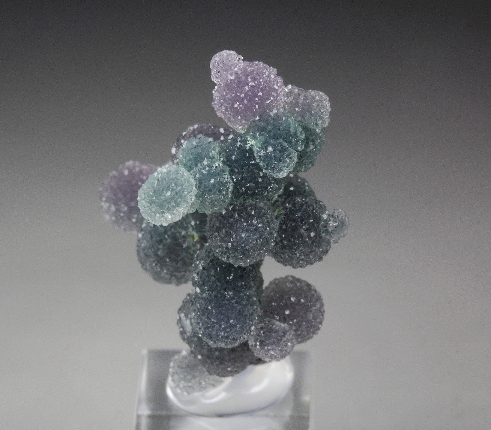 QUARTZ var. AMETHYST - grape agate