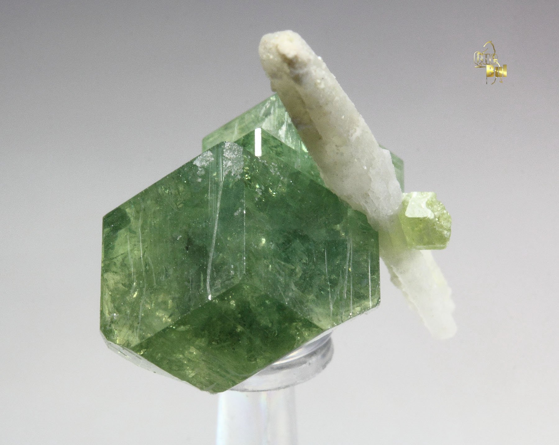 gem GARNET var. ANDRADITE var. DEMANTOID, QUARTZ