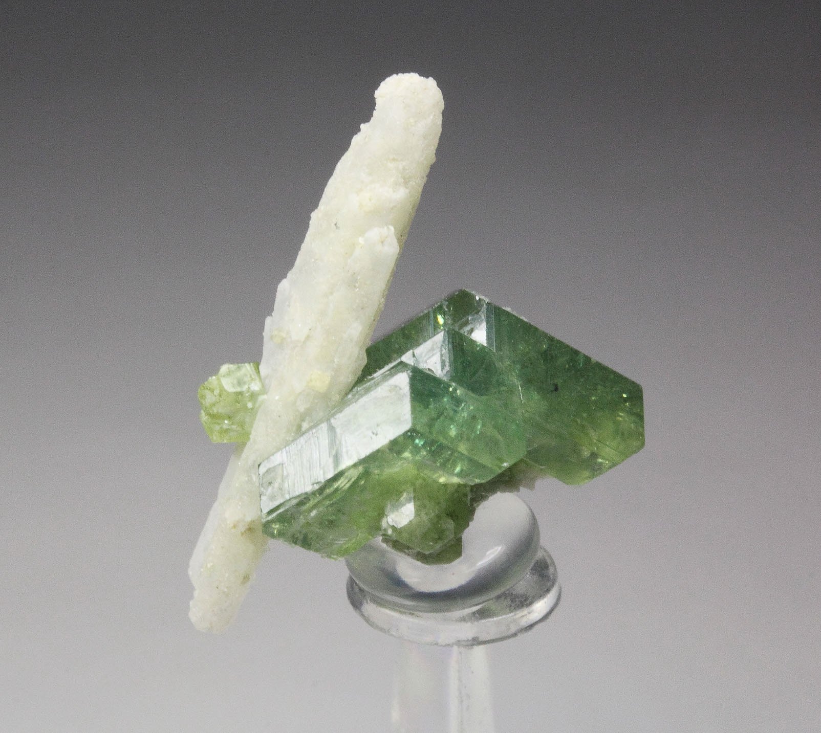 gem GARNET var. ANDRADITE var. DEMANTOID, QUARTZ