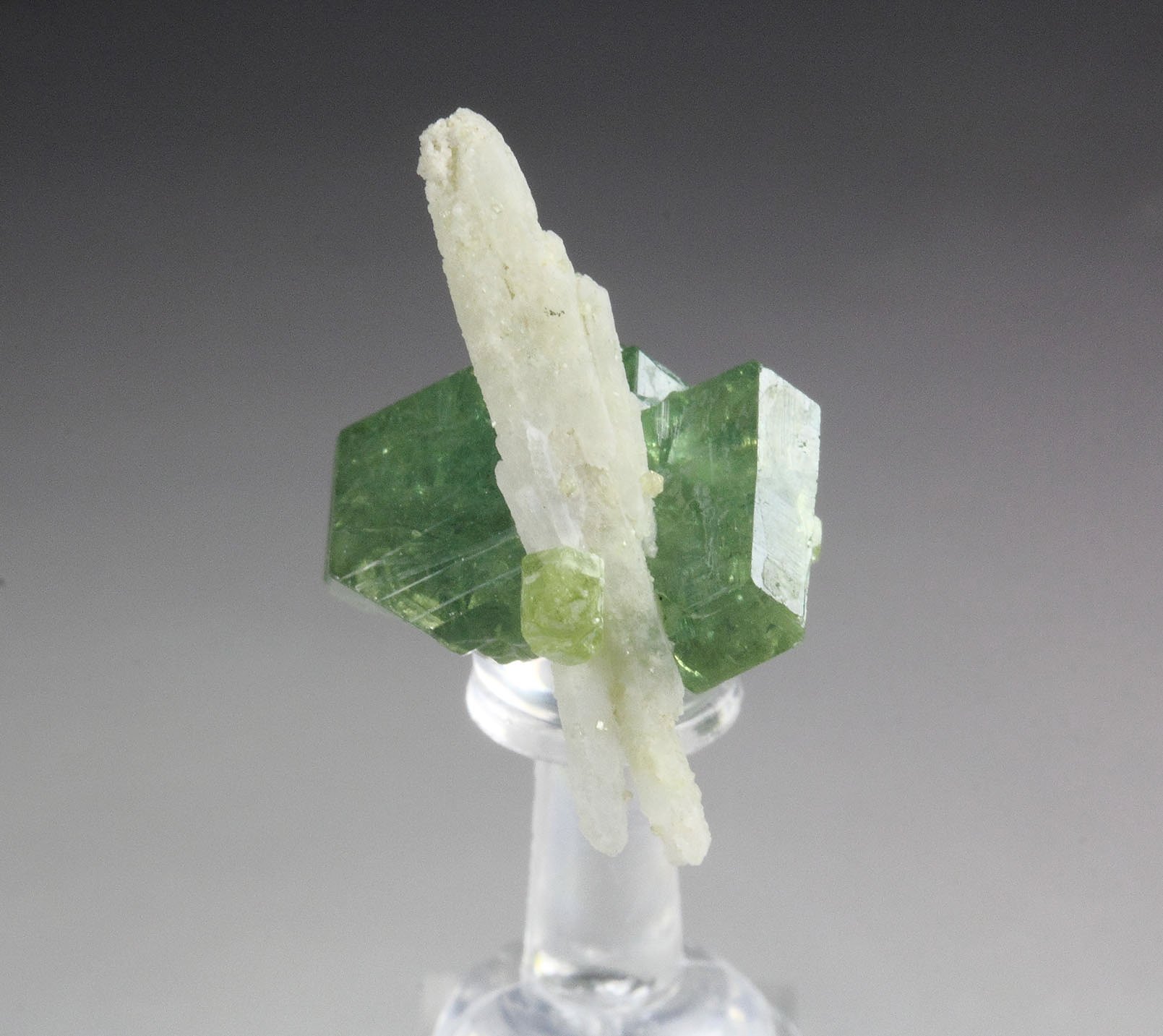 gem GARNET var. ANDRADITE var. DEMANTOID, QUARTZ