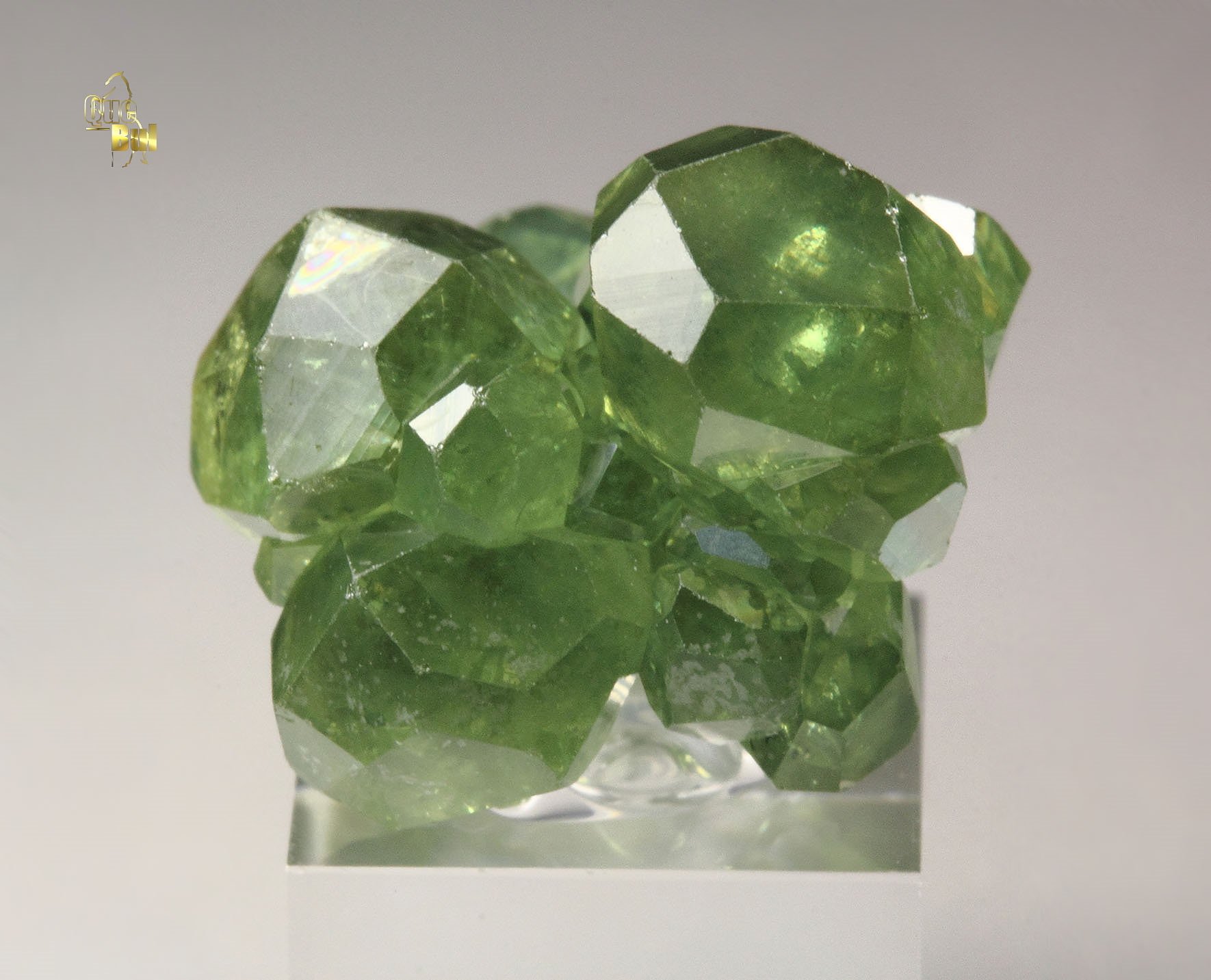 gem GARNET var. ANDRADITE var. DEMANTOID