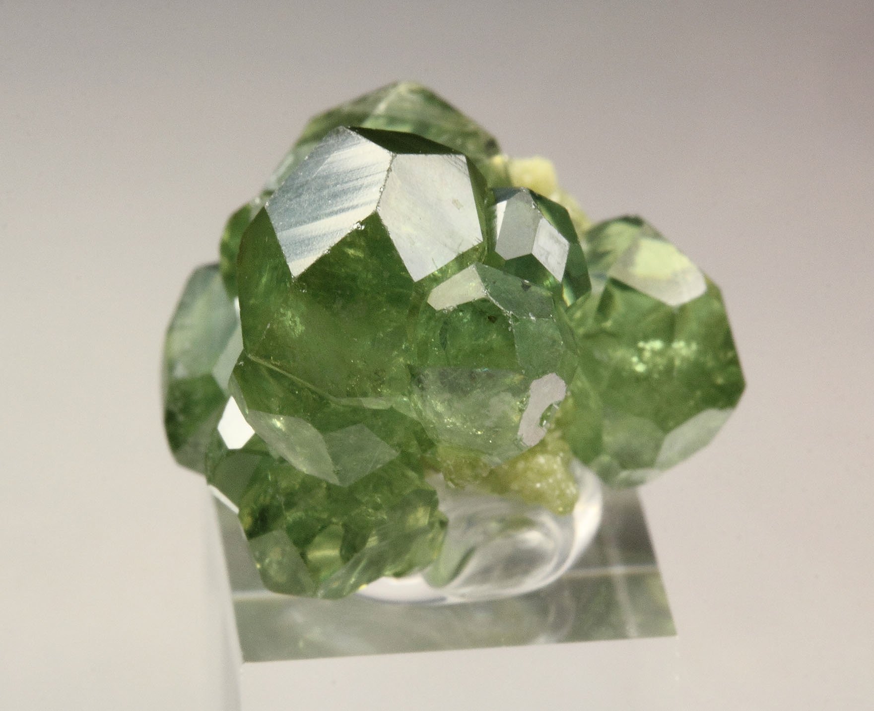 gem GARNET var. ANDRADITE var. DEMANTOID