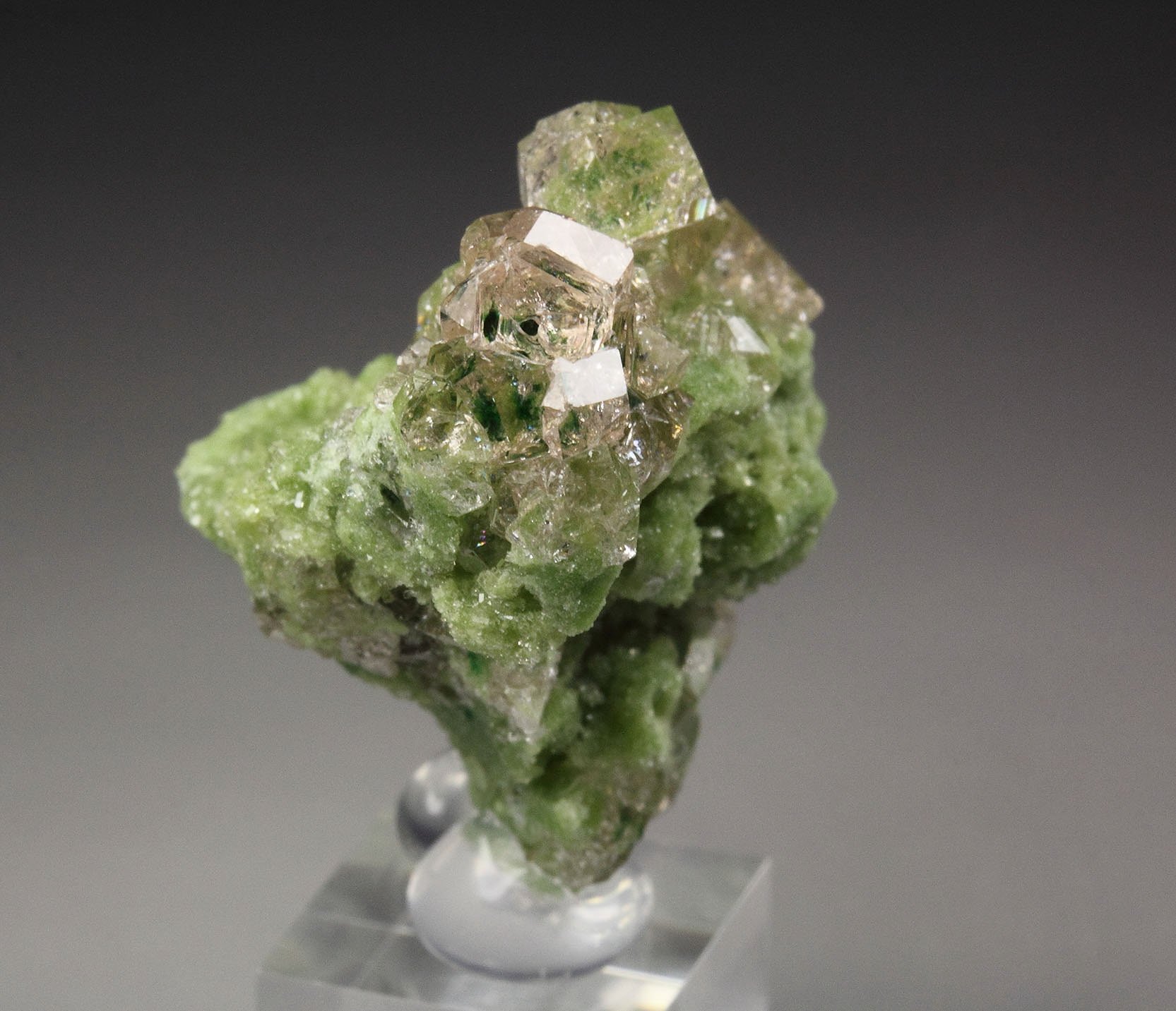 gem GARNET var. GROSSULAR with GREEN CHROMIAN PHANTOMS, DIOPSIDE