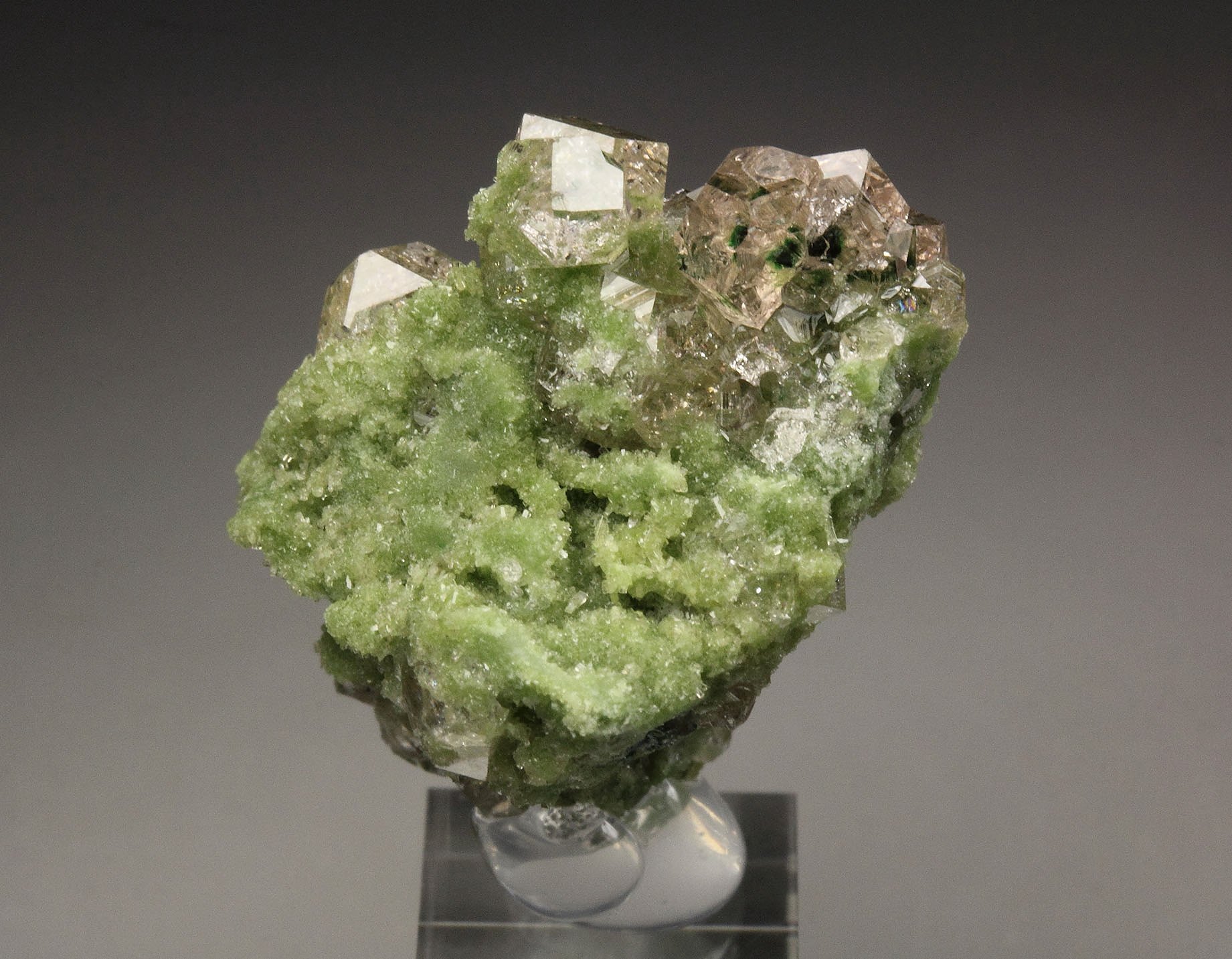 gem GARNET var. GROSSULAR with GREEN CHROMIAN PHANTOMS, DIOPSIDE