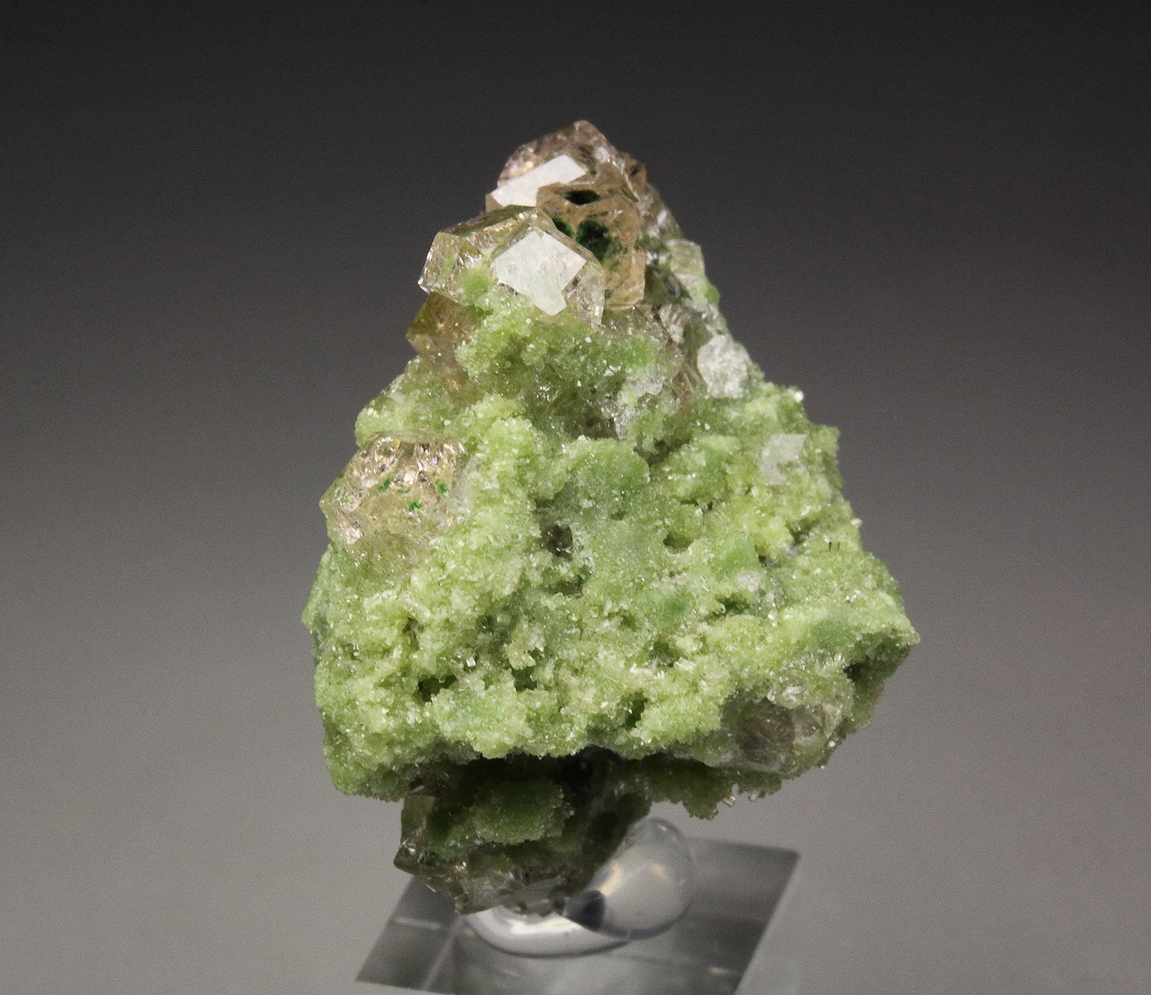 gem GARNET var. GROSSULAR with GREEN CHROMIAN PHANTOMS, DIOPSIDE