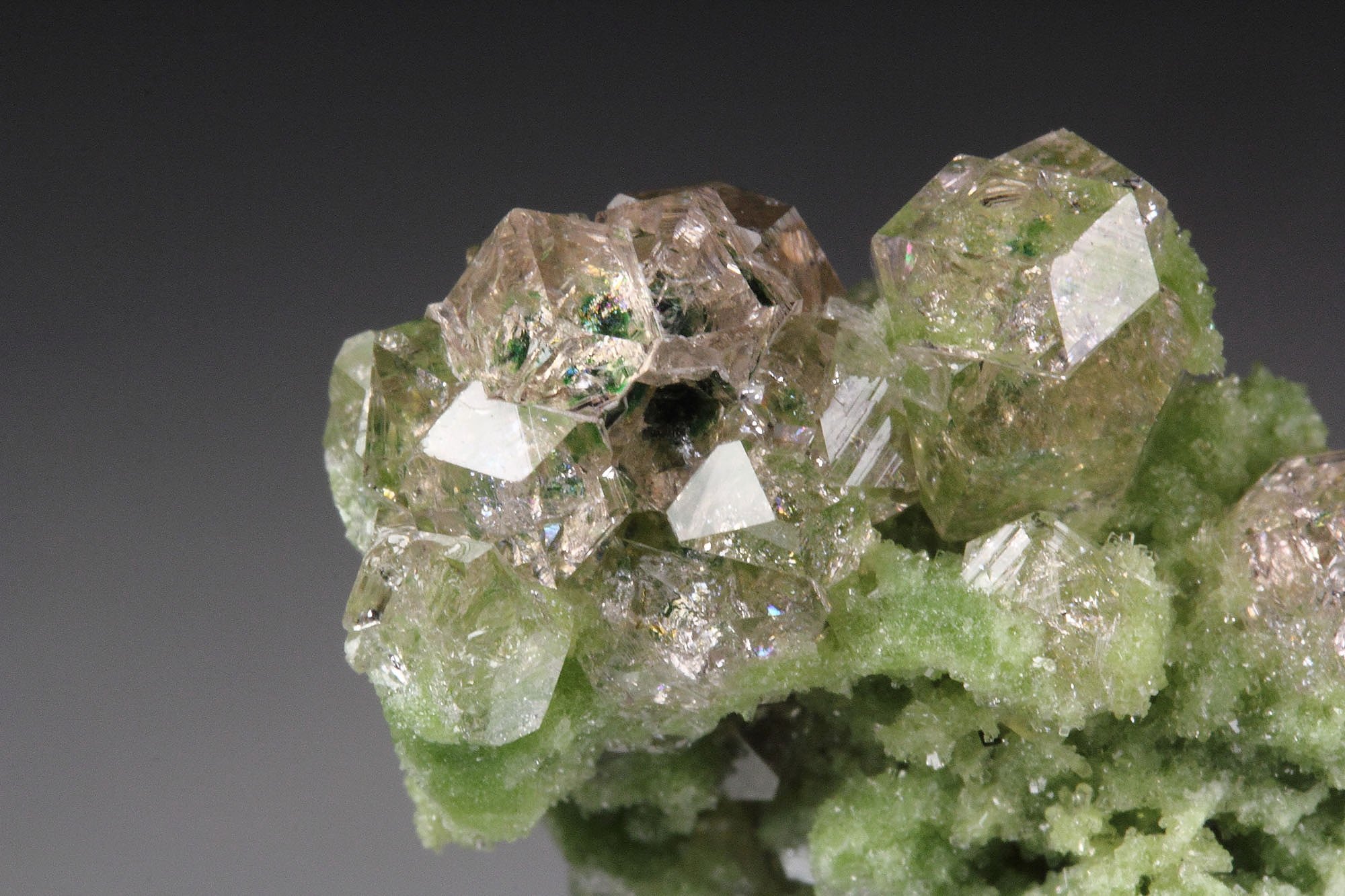 gem GARNET var. GROSSULAR with GREEN CHROMIAN PHANTOMS, DIOPSIDE