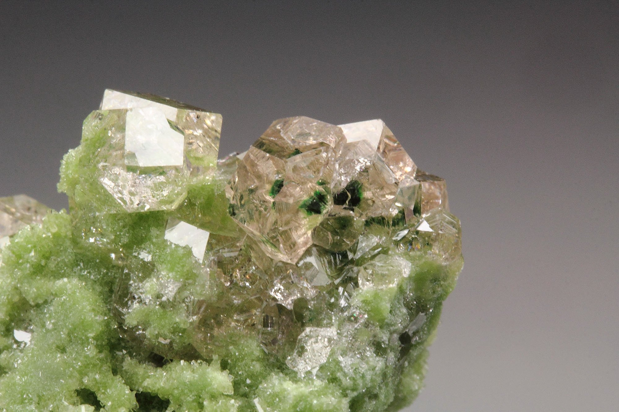 gem GARNET var. GROSSULAR with GREEN CHROMIAN PHANTOMS, DIOPSIDE