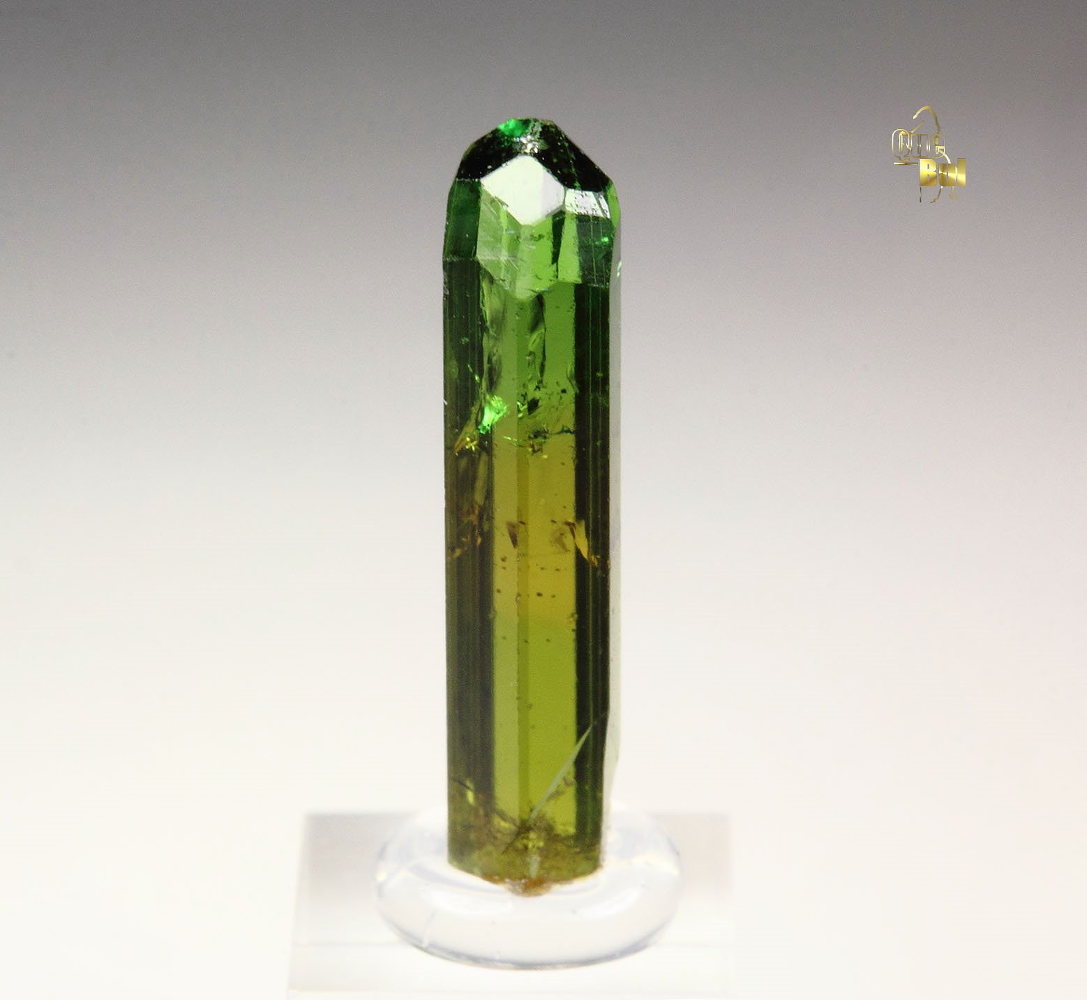 gem TOURMALINE var. DRAVITE