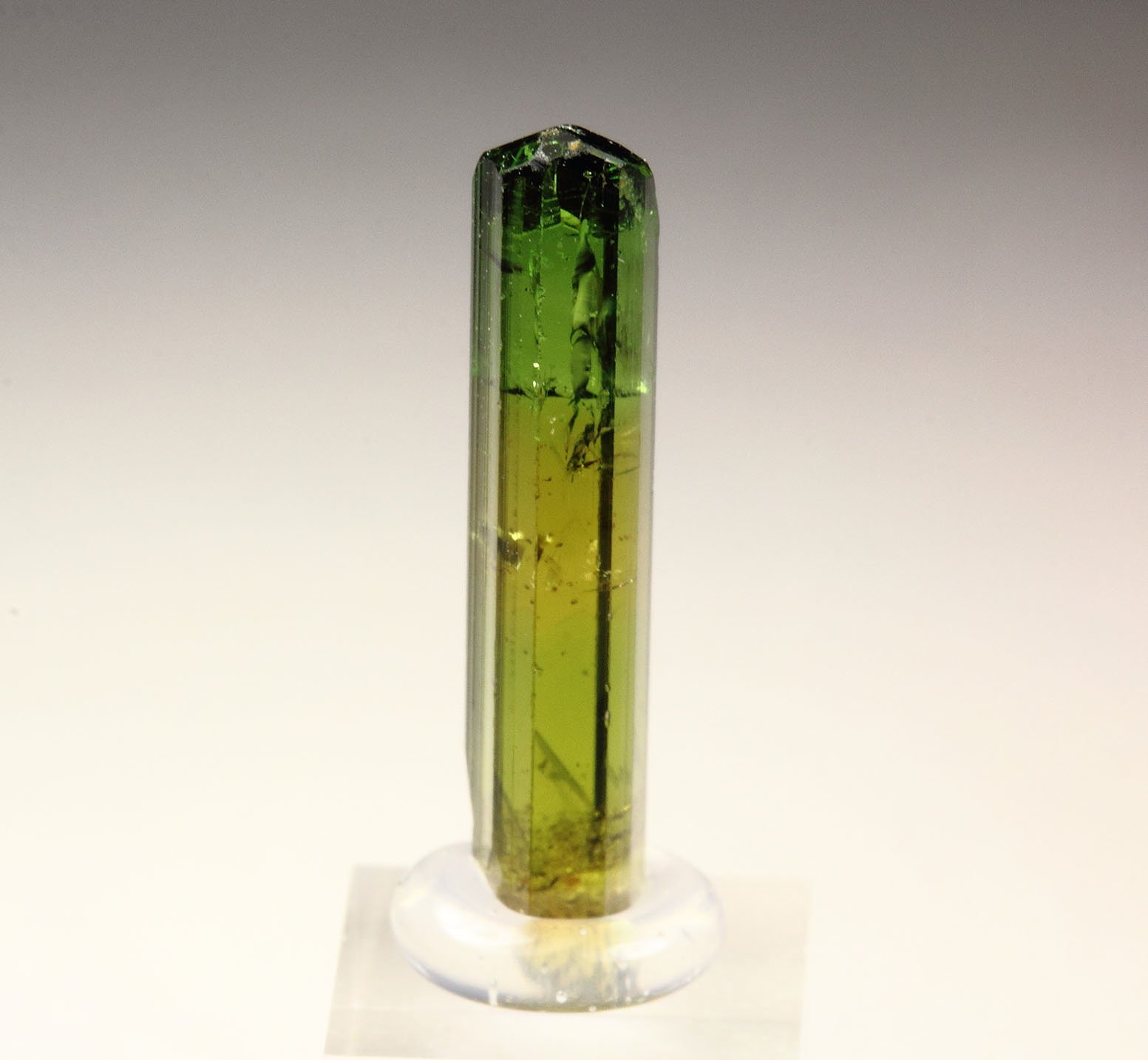 gem TOURMALINE var. DRAVITE