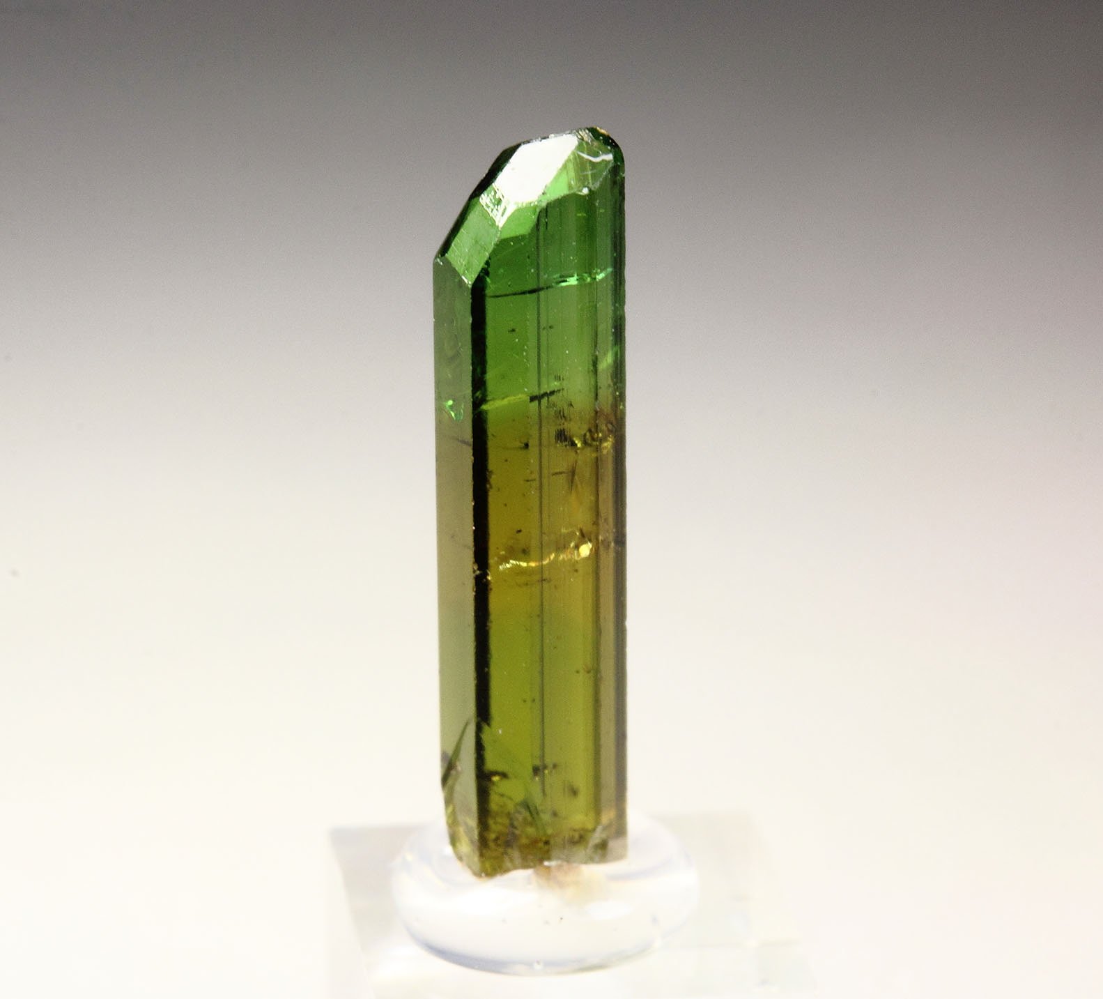 gem TOURMALINE var. DRAVITE