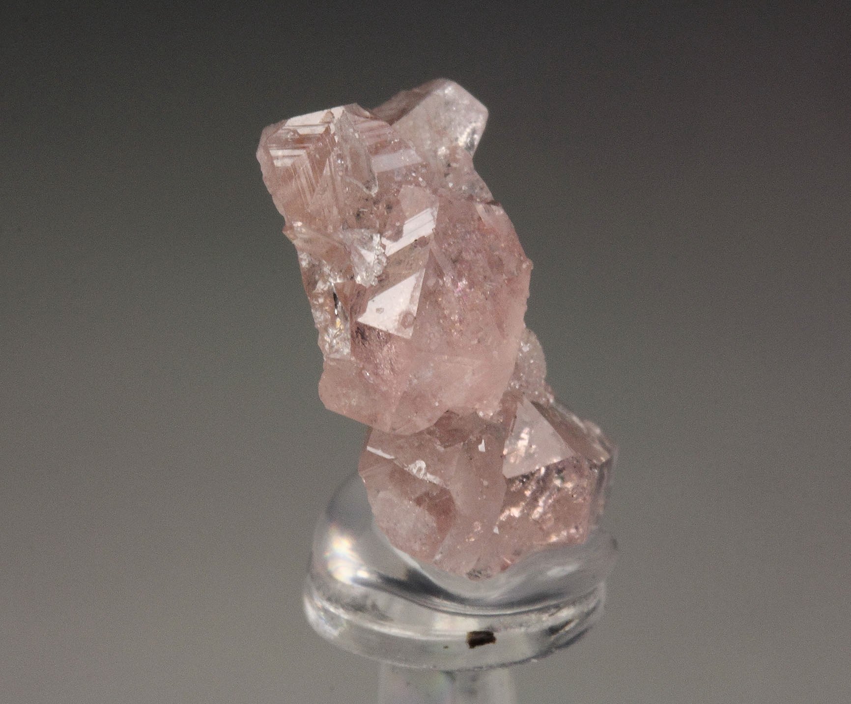 gem PINK GARNET var. GROSSULAR