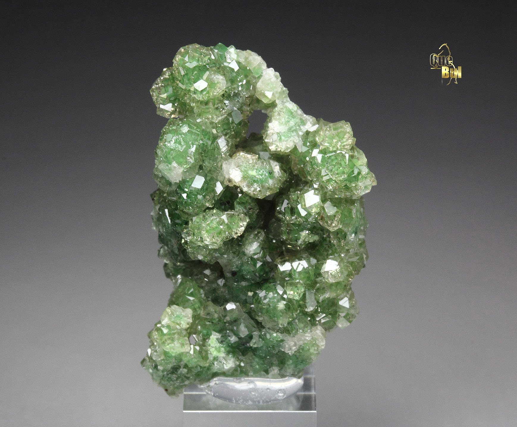 gem GARNET var. GROSSULAR with GREEN CHROMIAN PHANTOMS