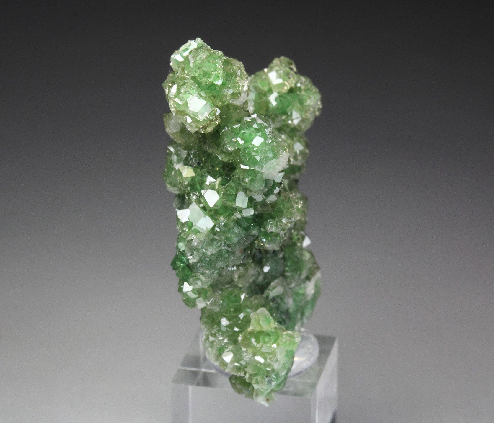 gem GARNET var. GROSSULAR with GREEN CHROMIAN PHANTOMS