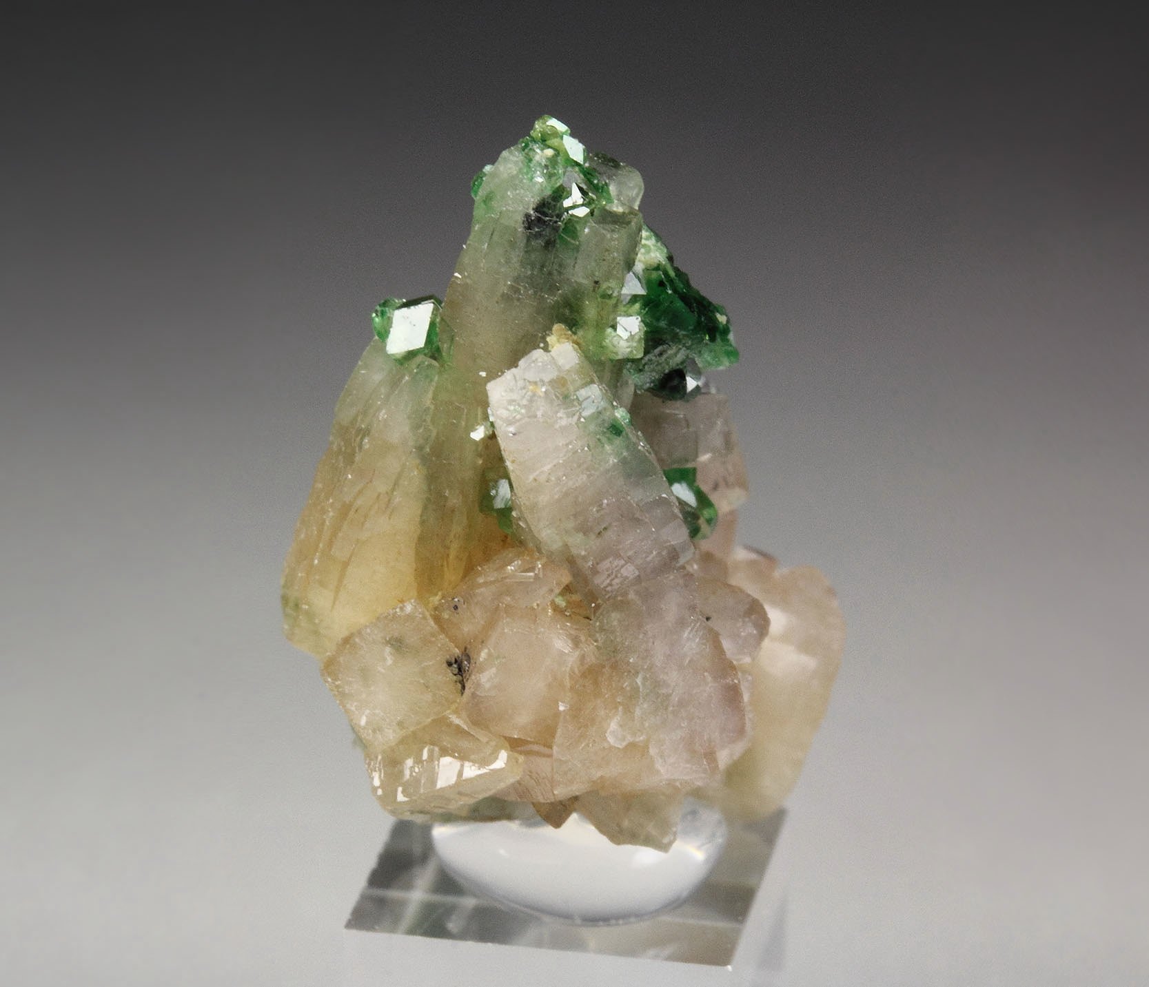 gem GARNET var. GROSSULAR var. CHROMIAN, PREHNITE, CHROMITE