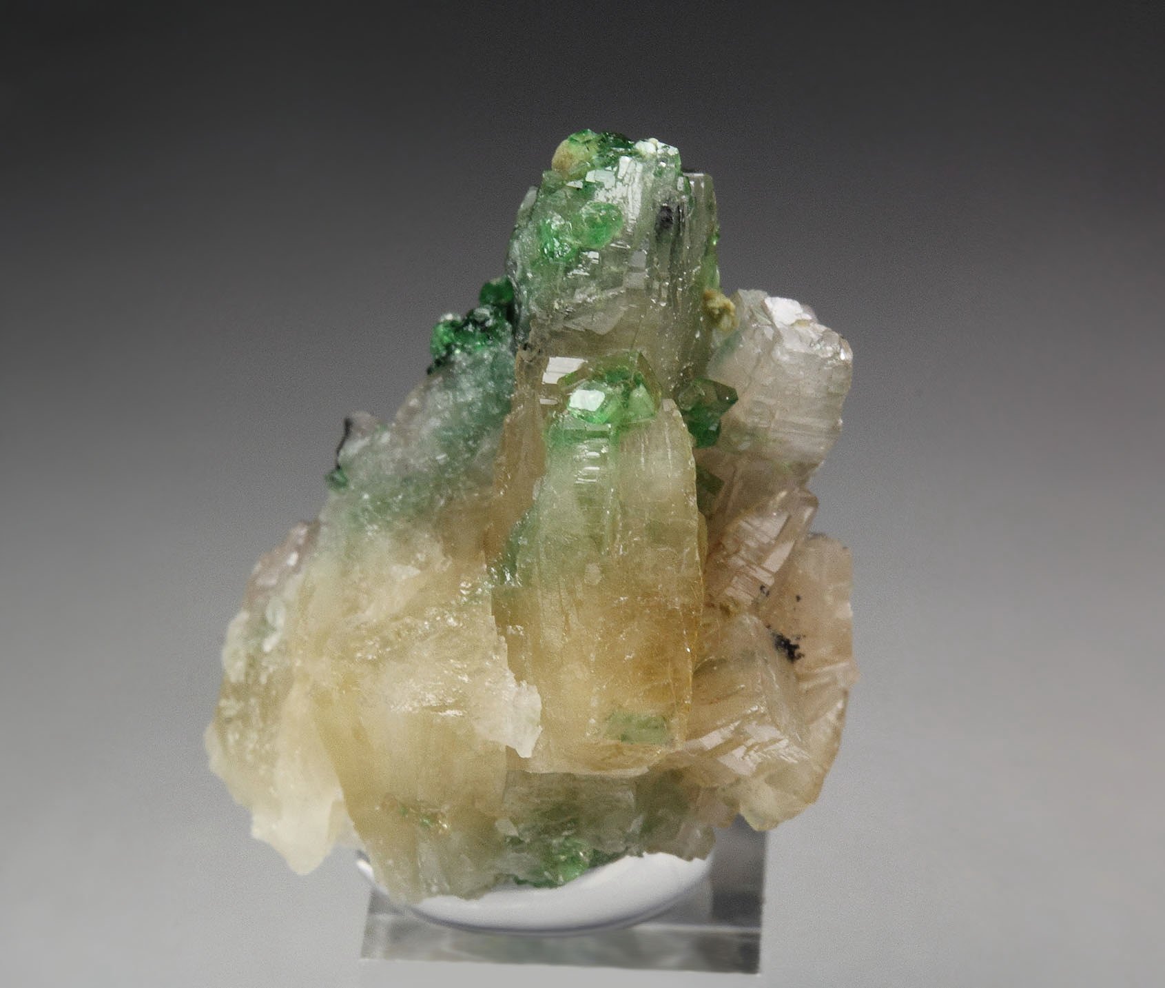 gem GARNET var. GROSSULAR var. CHROMIAN, PREHNITE, CHROMITE