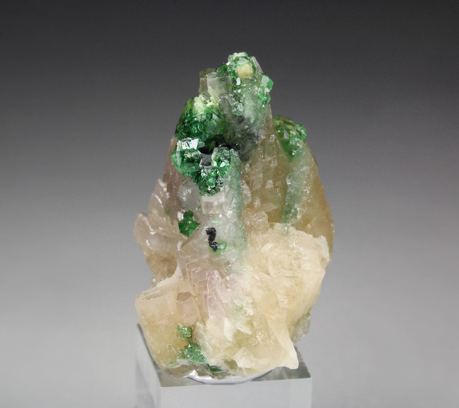 gem GARNET var. GROSSULAR var. CHROMIAN, PREHNITE, CHROMITE