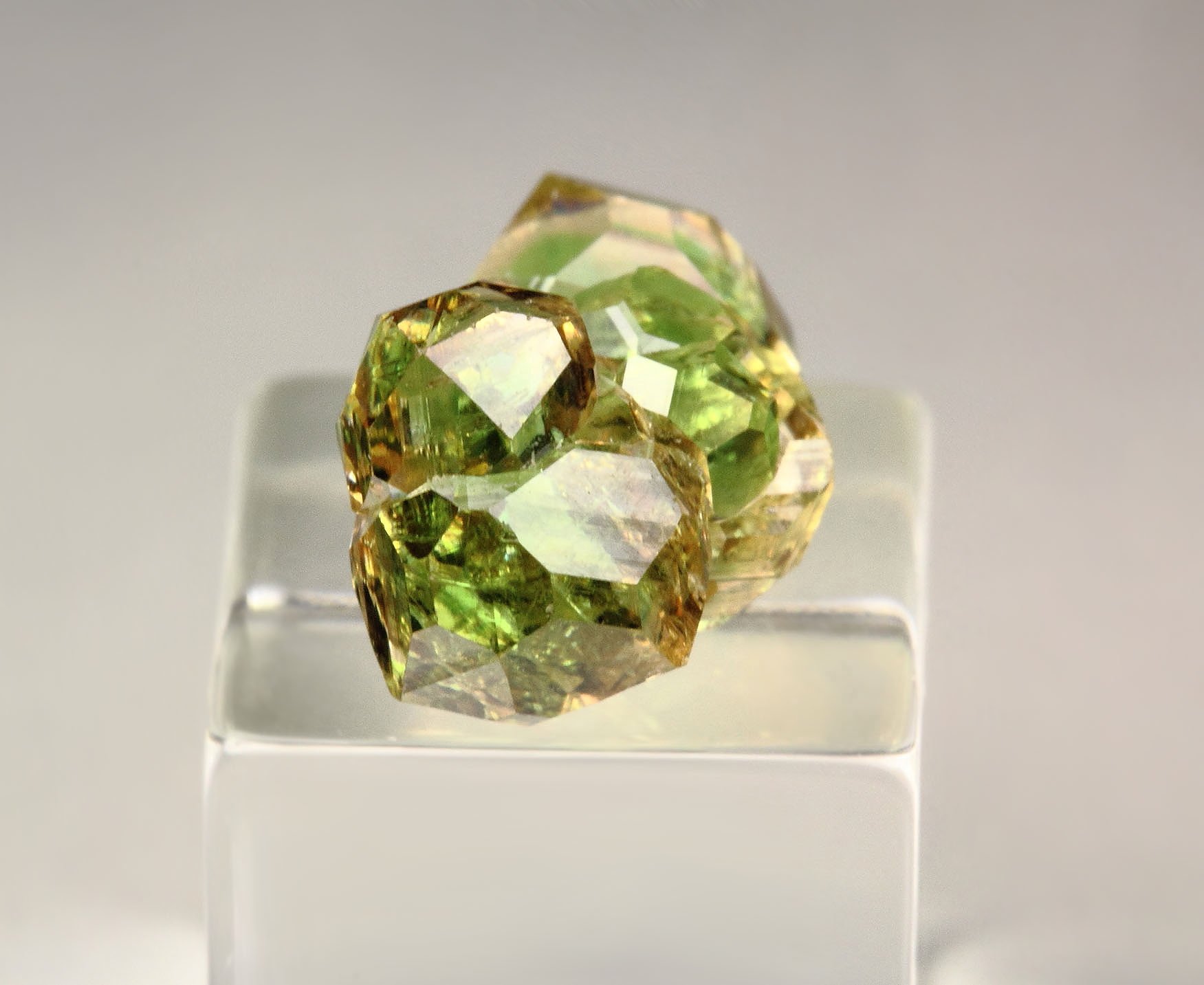 gem GARNET var. GROSSULAR with GREEN CHROMIAN PHANTOMS