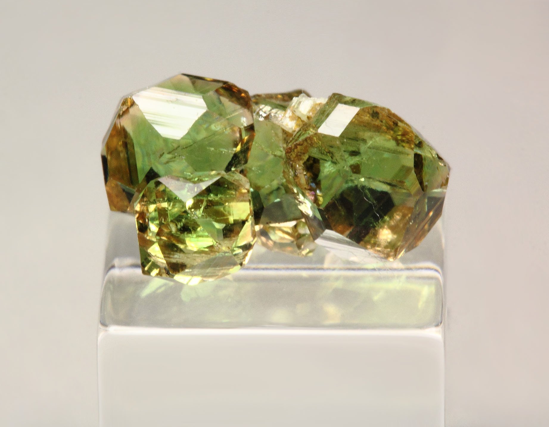 gem GARNET var. GROSSULAR with GREEN CHROMIAN PHANTOMS