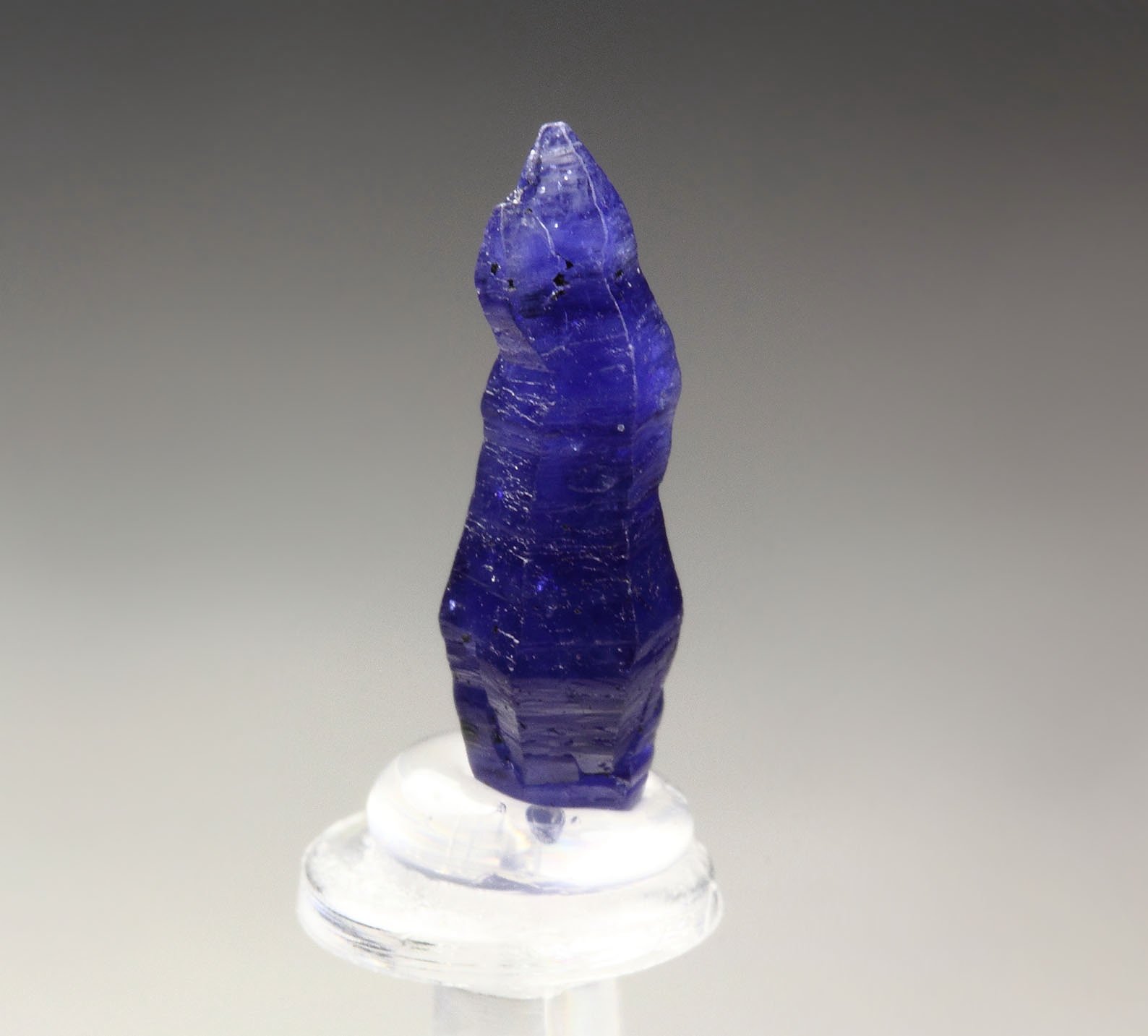 gemmy CORUNDUM var. SAPPHIRE