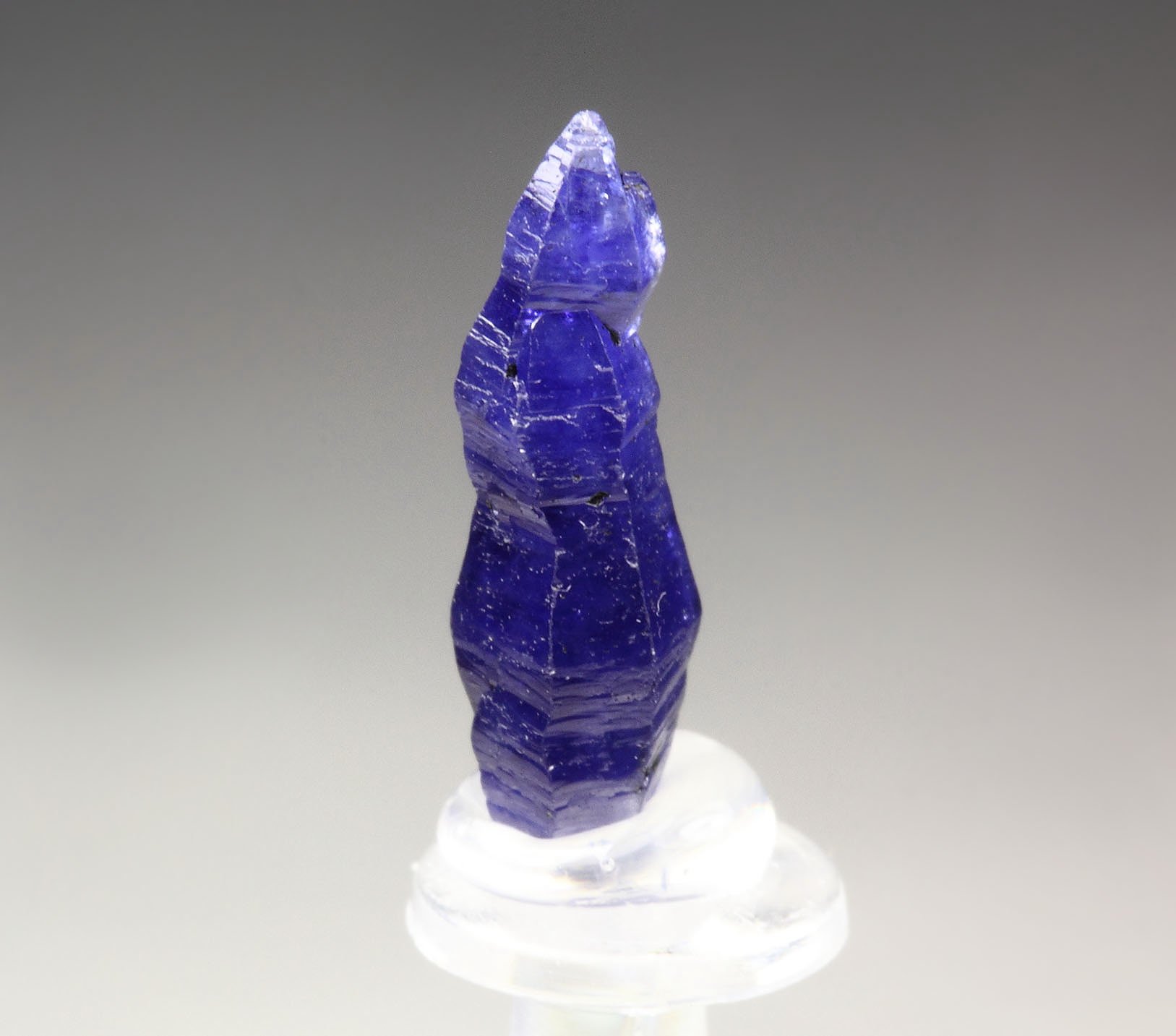 gemmy CORUNDUM var. SAPPHIRE