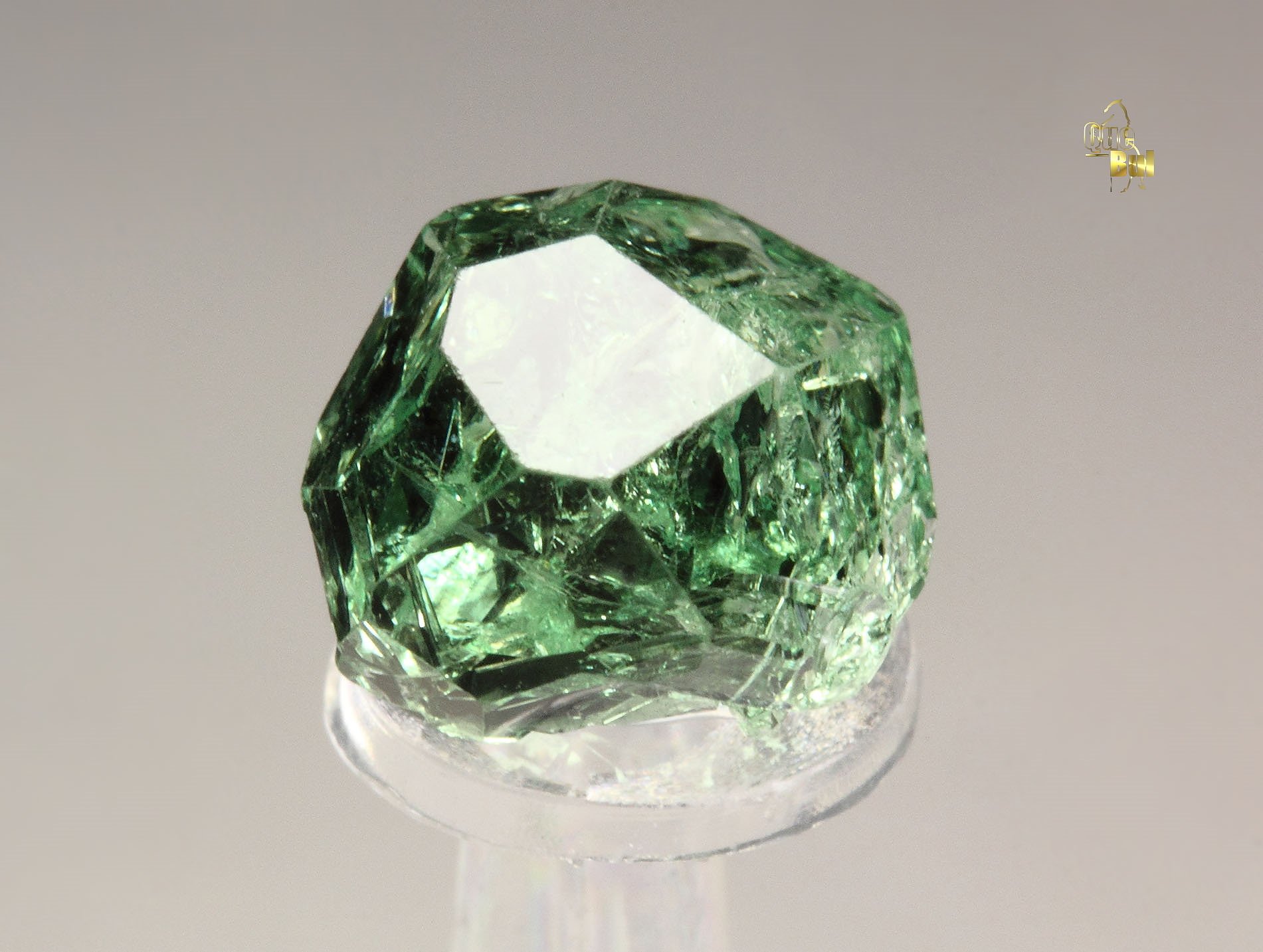 gem GARNET var. GROSSULAR var. TSAVORITE