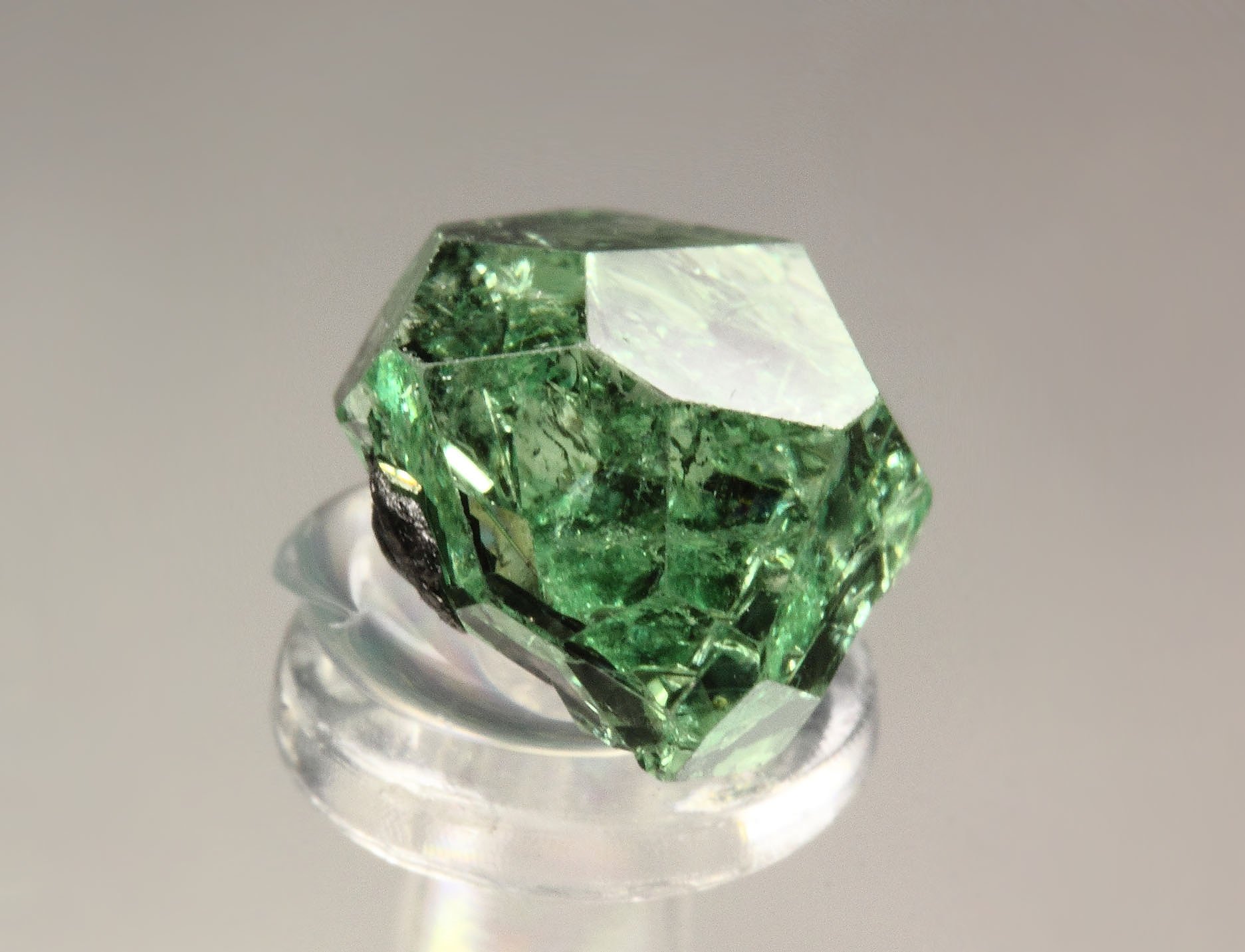 gem GARNET var. GROSSULAR var. TSAVORITE