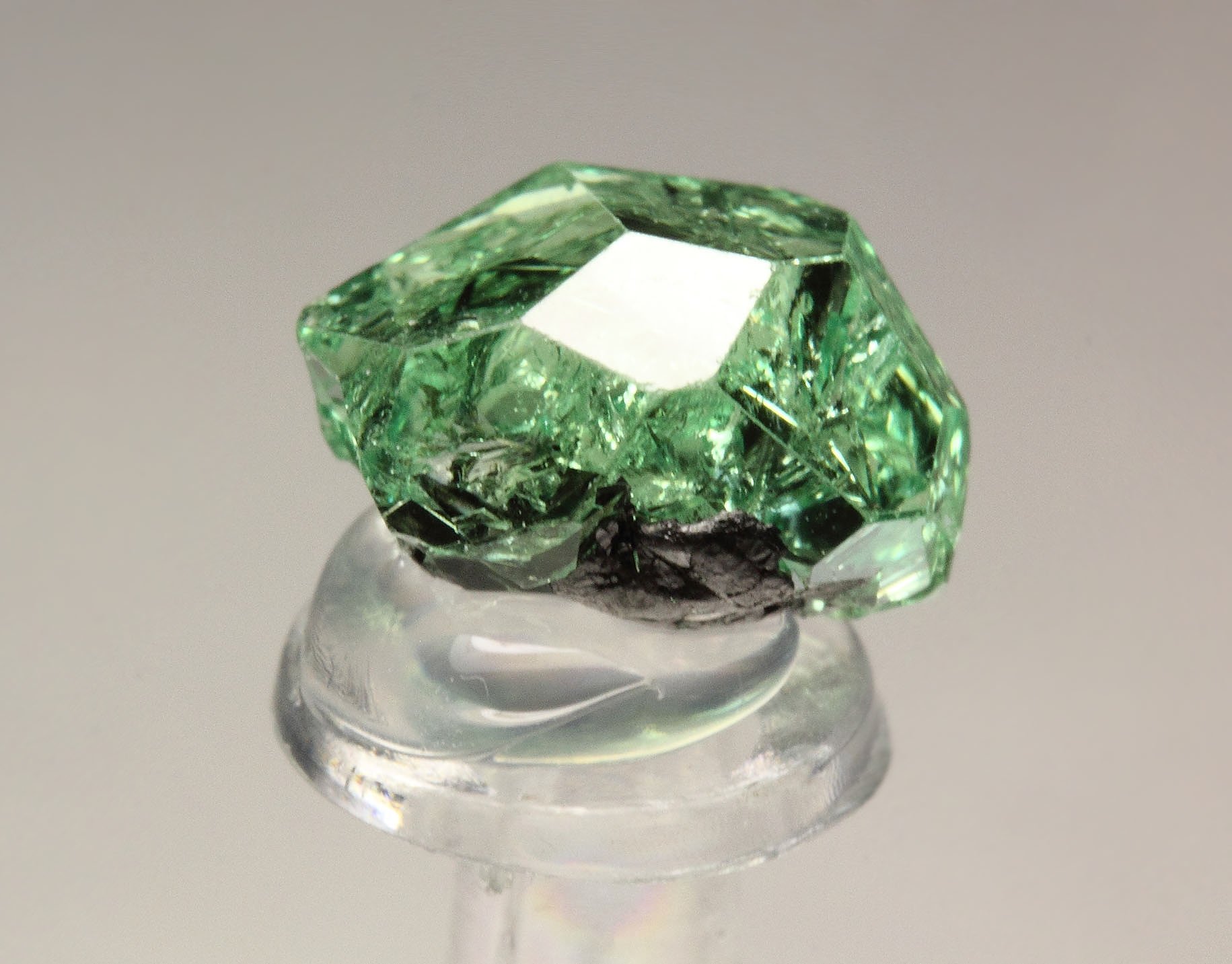 gem GARNET var. GROSSULAR var. TSAVORITE