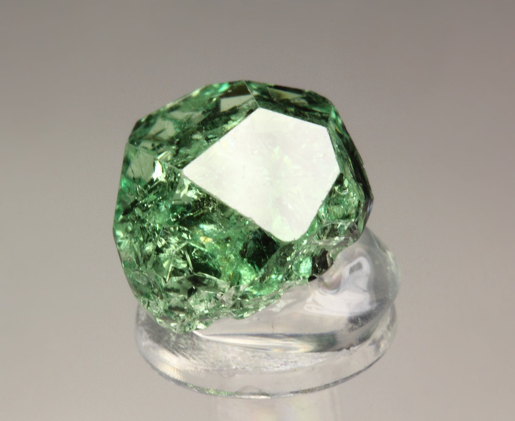 gem GARNET var. GROSSULAR var. TSAVORITE