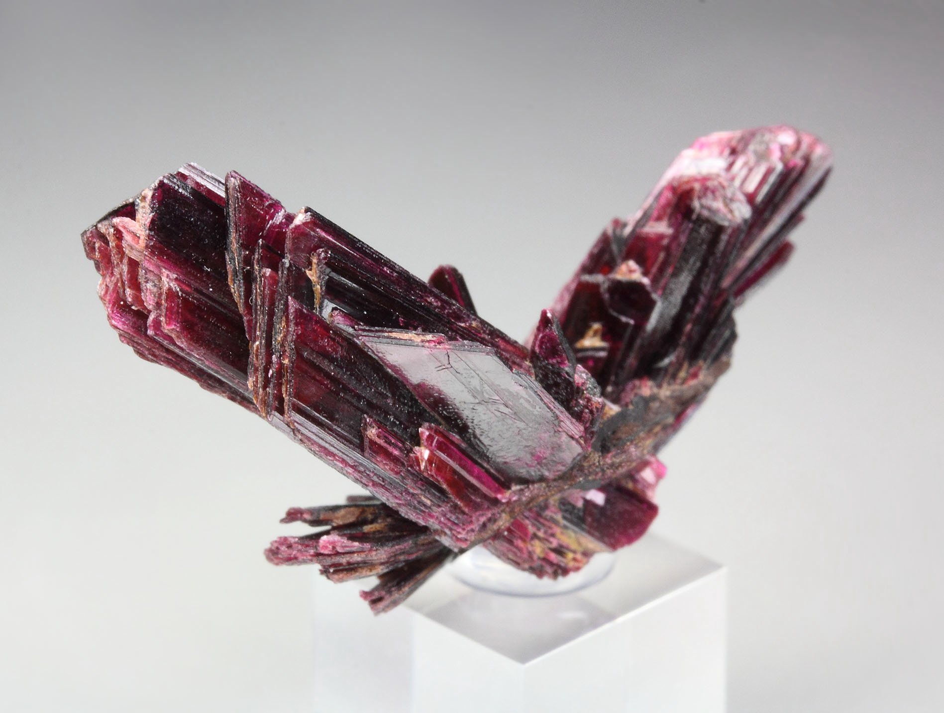 ERYTHRITE