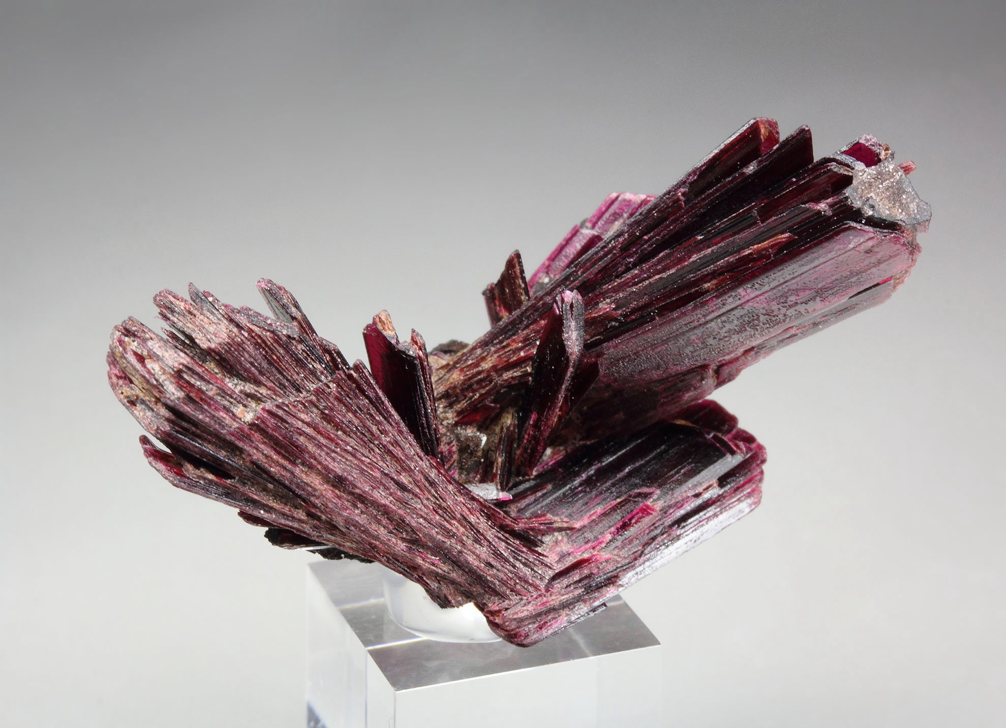 ERYTHRITE