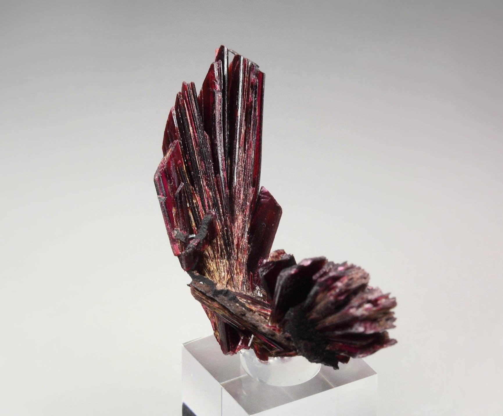 ERYTHRITE