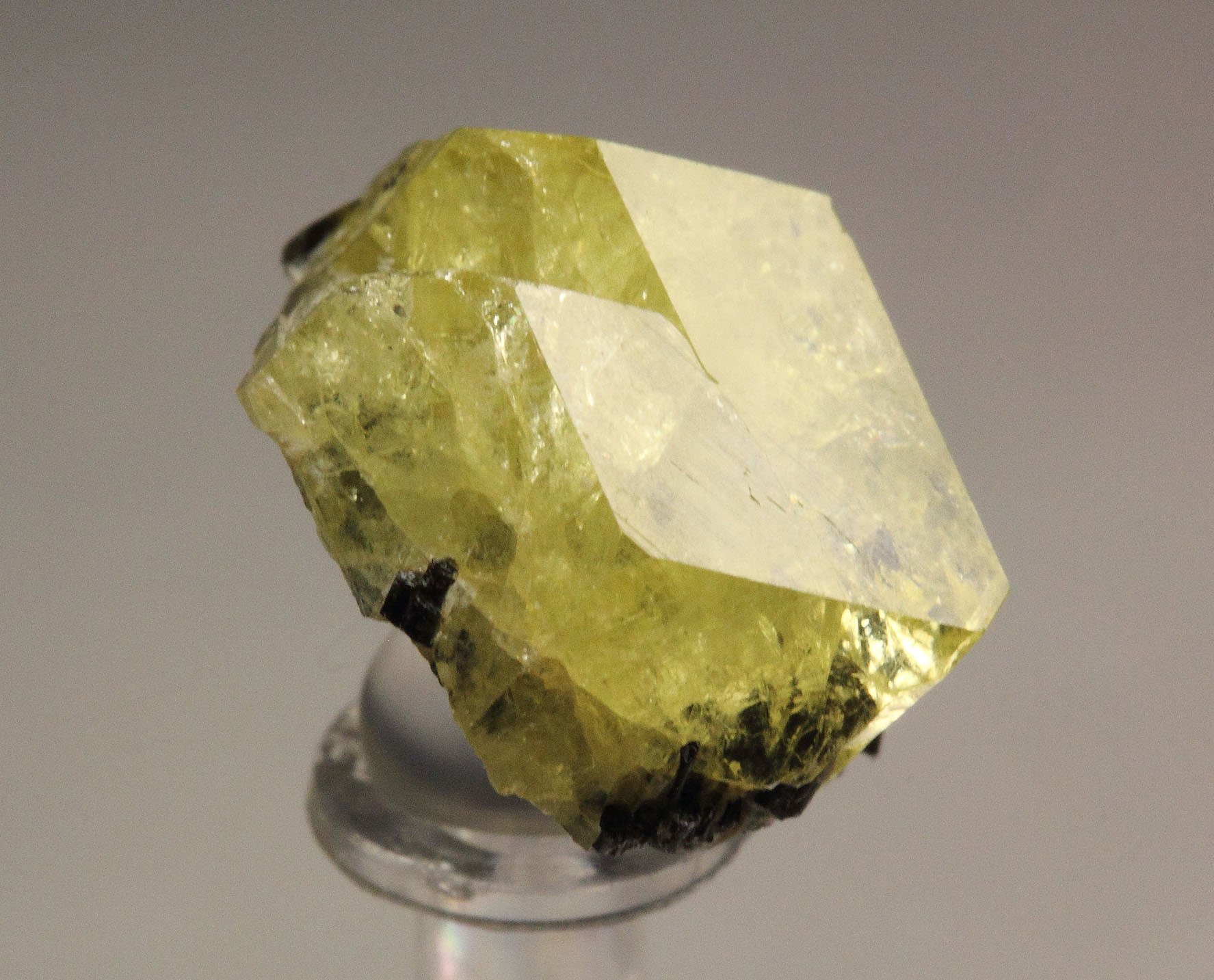 gem LONDONITE-RHODIZITE series