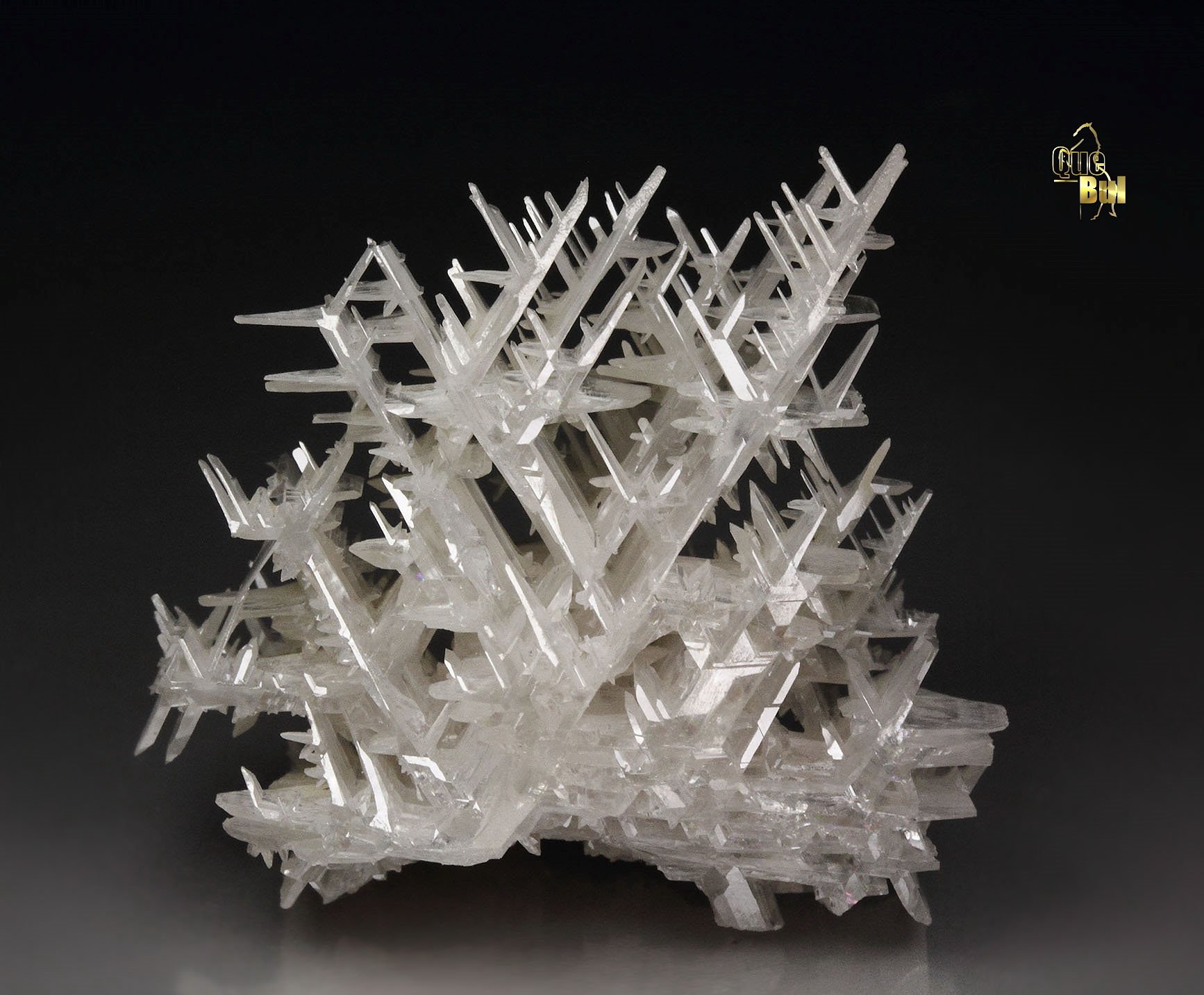 reticulated CERUSSITE