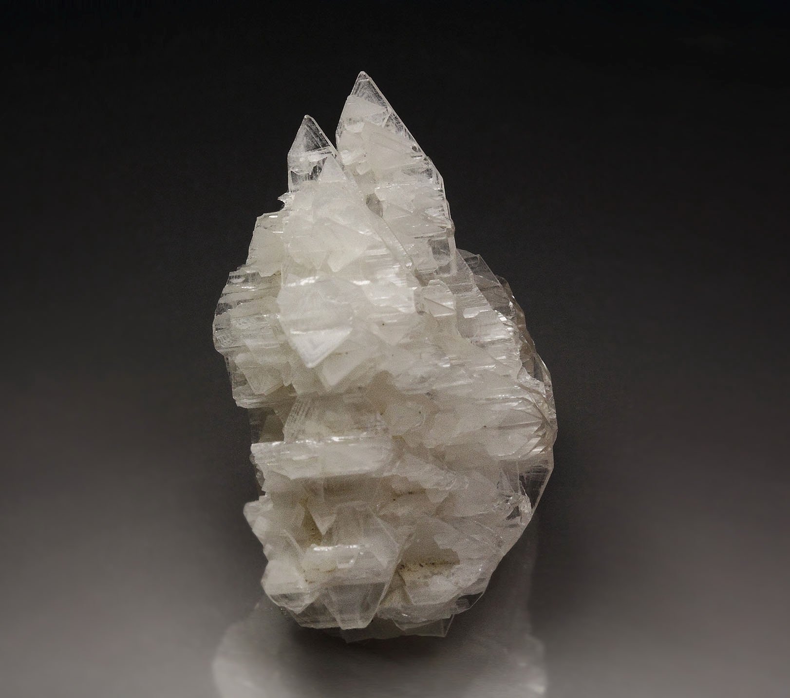 reticulated CERUSSITE