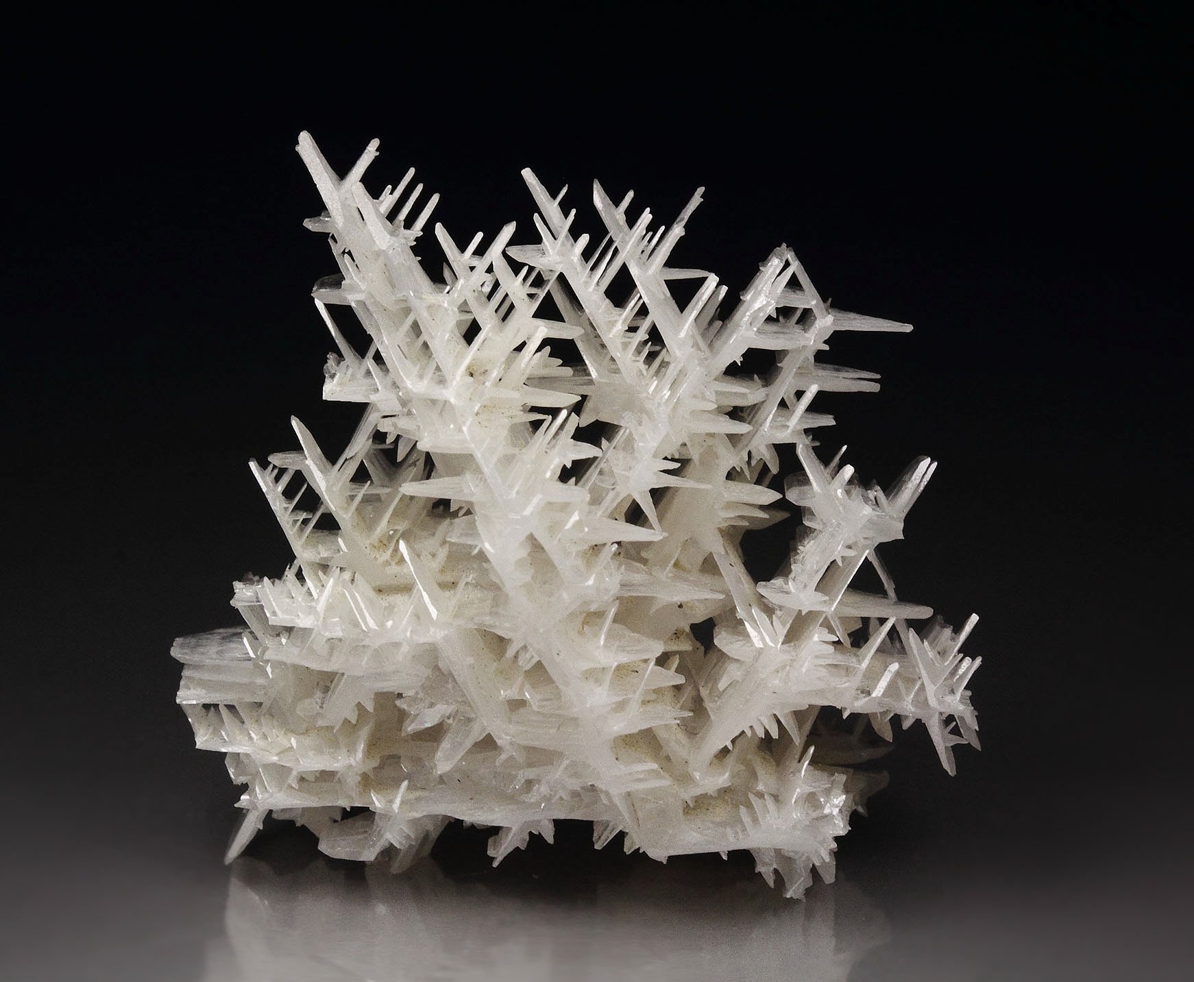 reticulated CERUSSITE