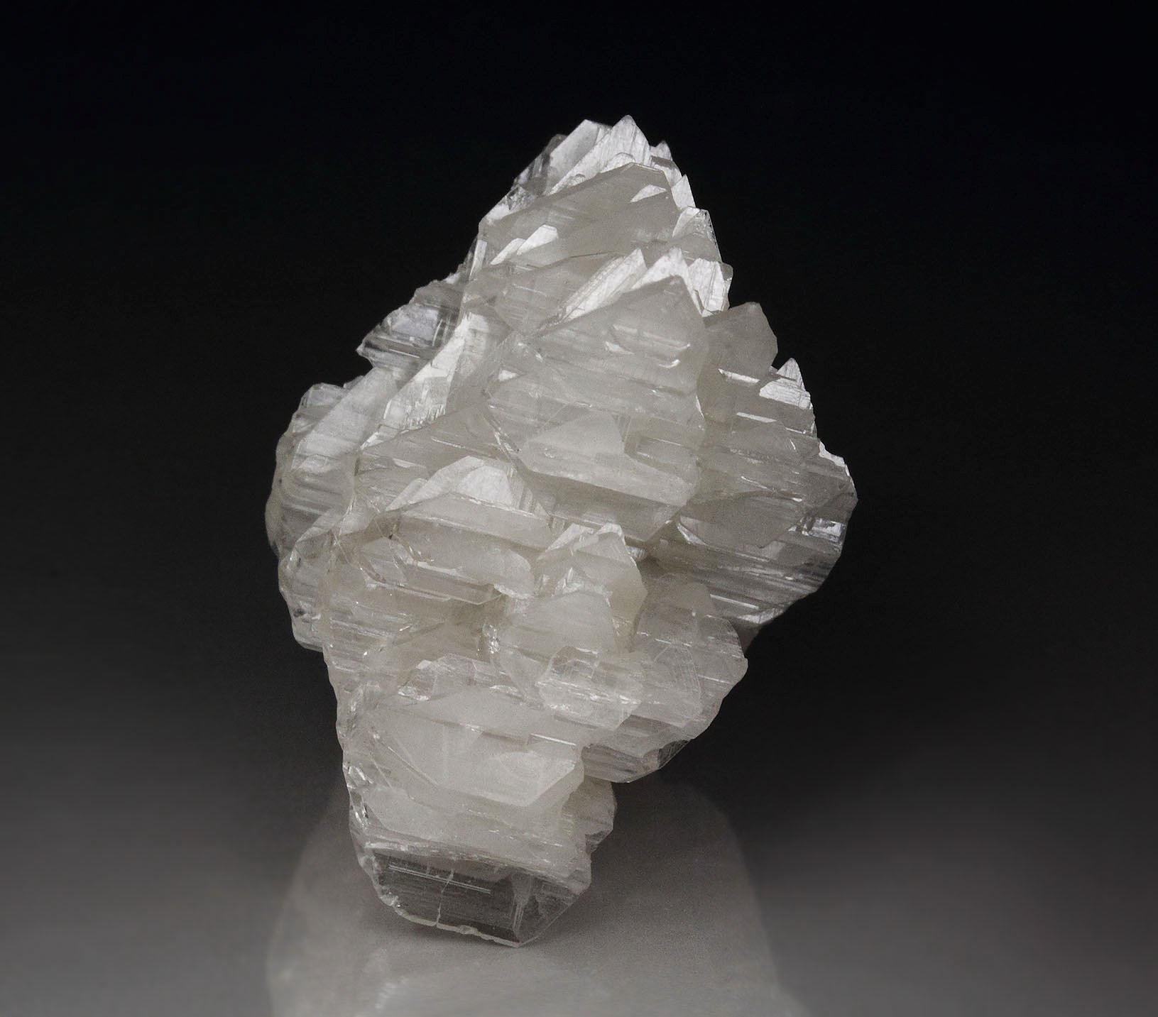 reticulated CERUSSITE