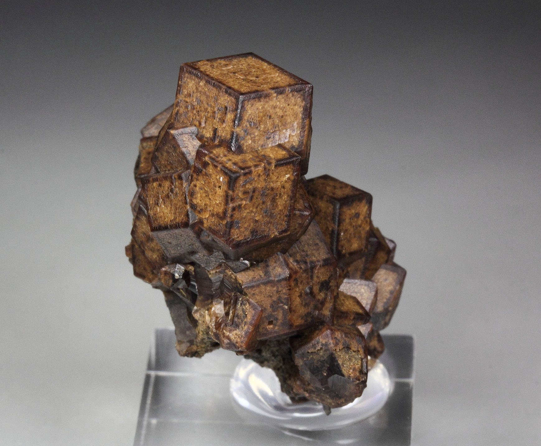 GARNET var. ANDRADITE