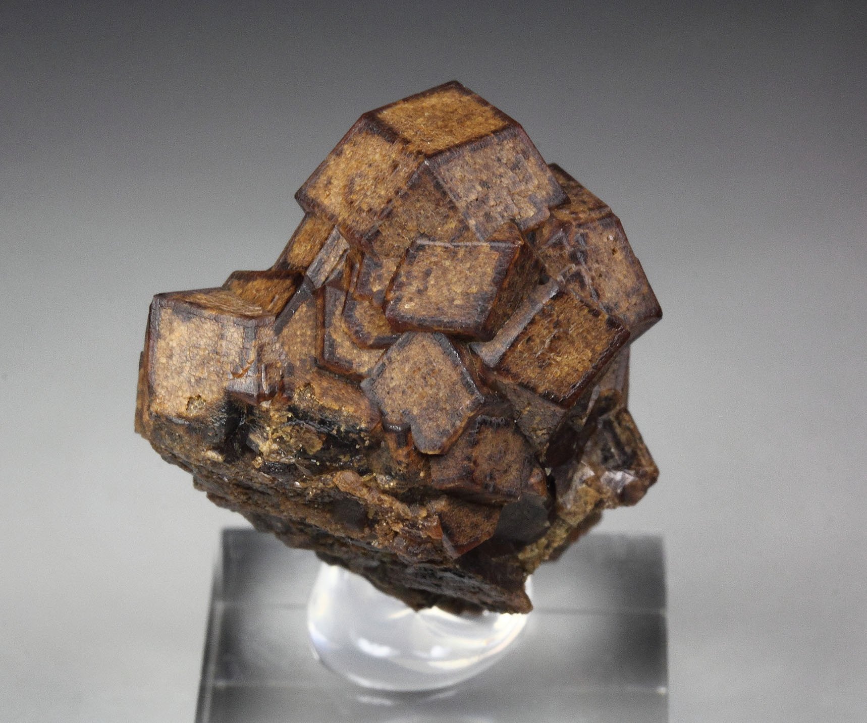 GARNET var. ANDRADITE