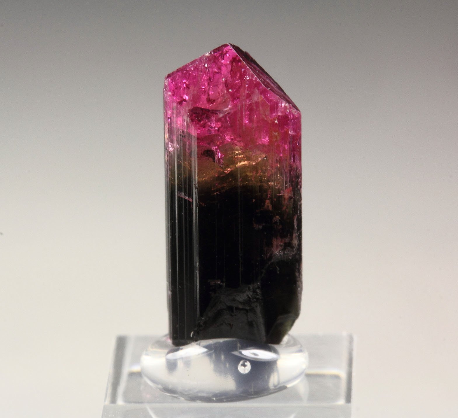 gem ELBAITE-LIDDICOATITE series