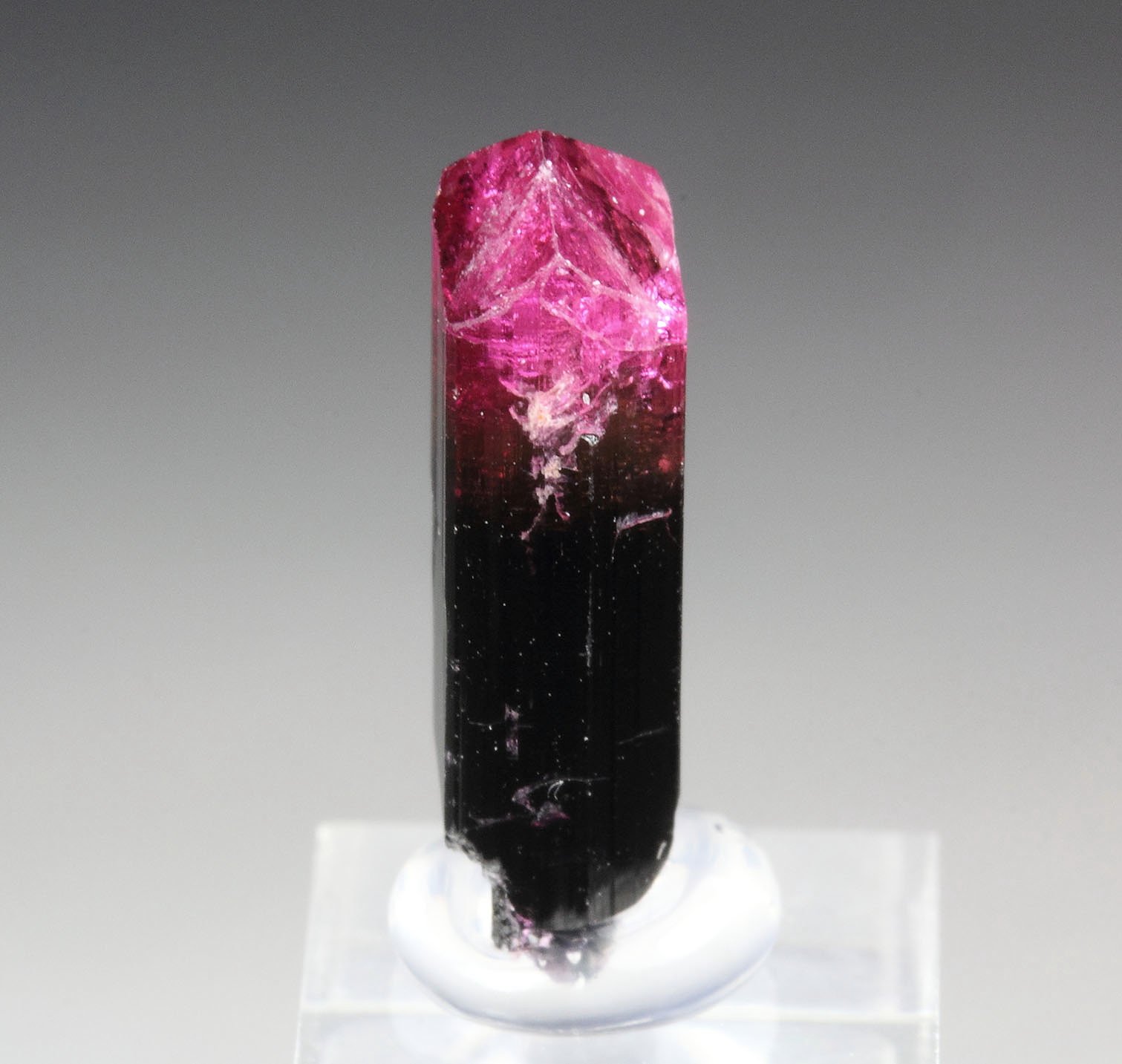 gem ELBAITE-LIDDICOATITE series