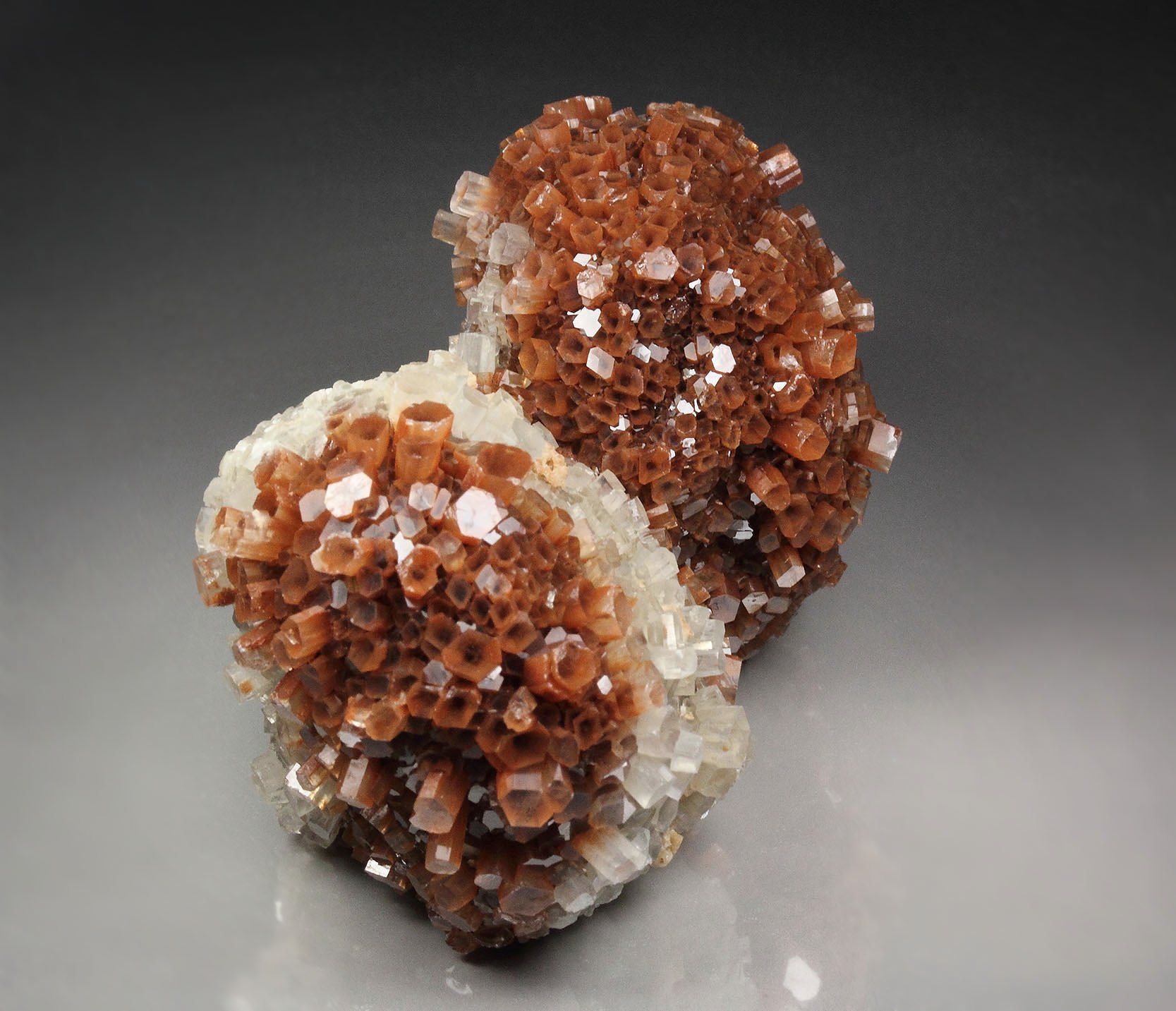 bi-color ARAGONITE