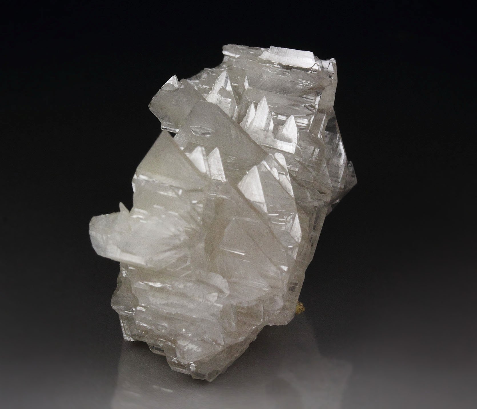 reticulated CERUSSITE